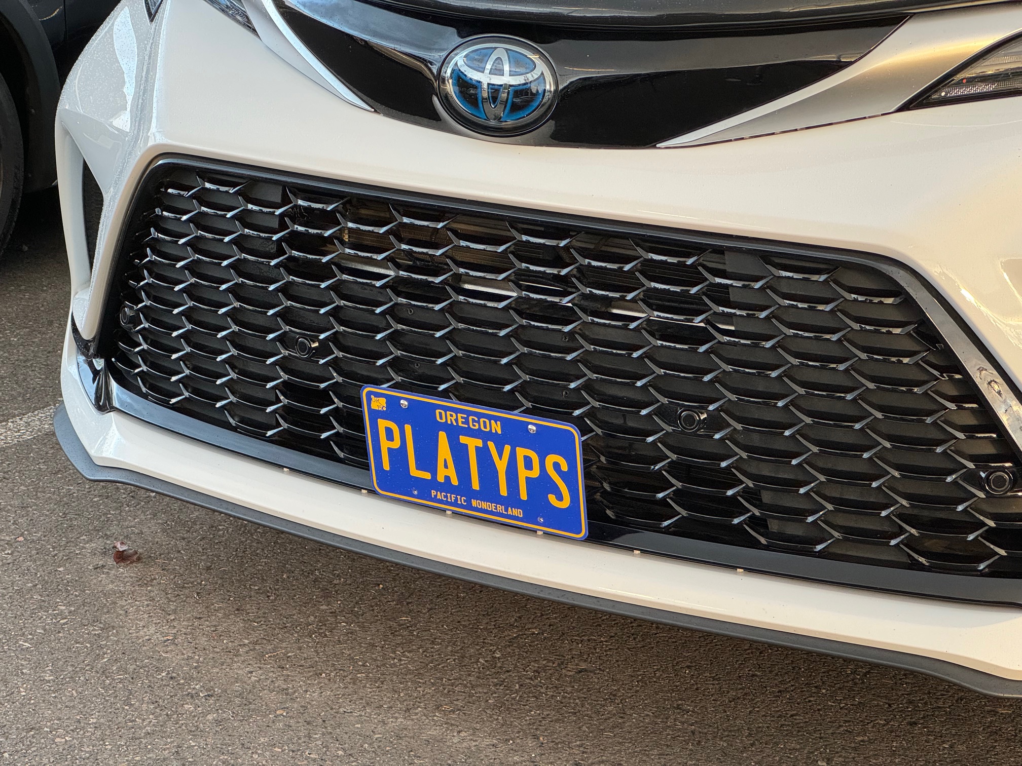 The Platypus License Plate Mount for Toyota Sienna 4th gen XL40 2021 to 2024
