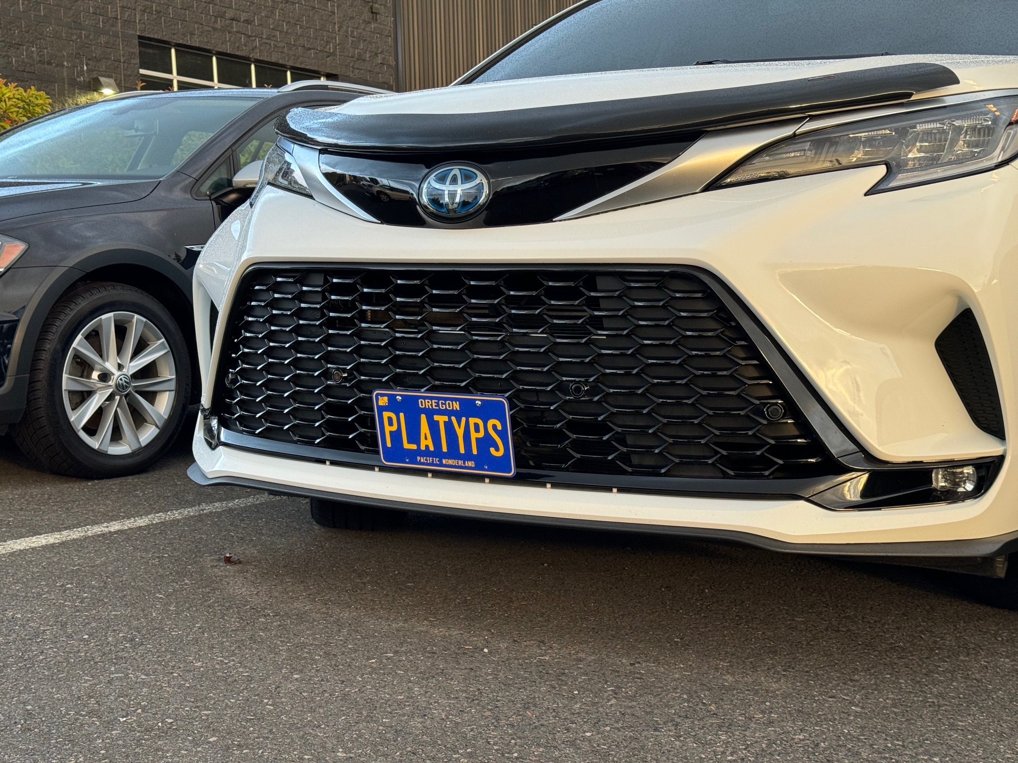 The Platypus License Plate Mount for Toyota Sienna 4th gen XL40 2021 to 2024