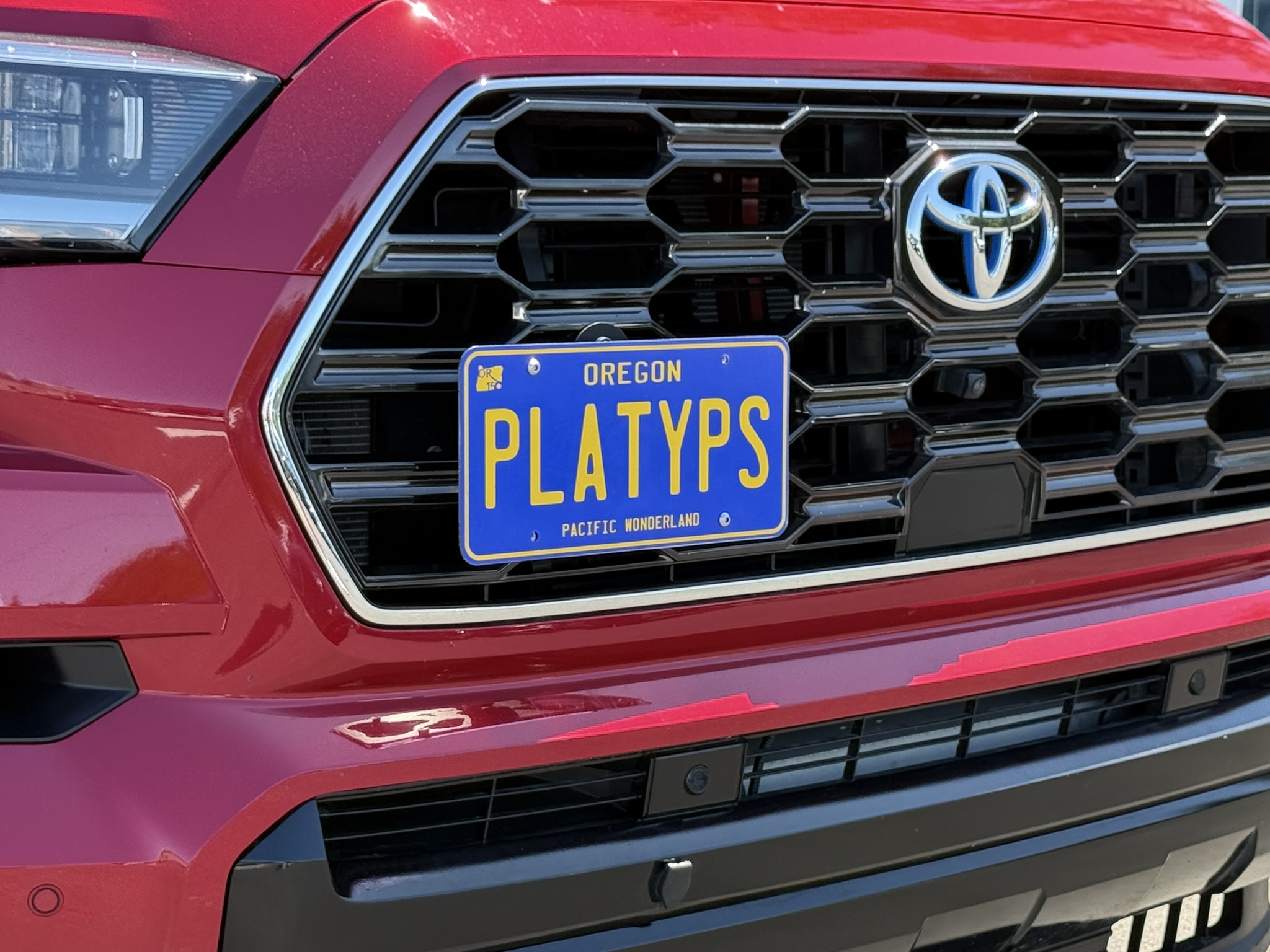 The Platypus License Plate Mount for Toyota Sequoia 3rd gen XK80 2023 to 2026