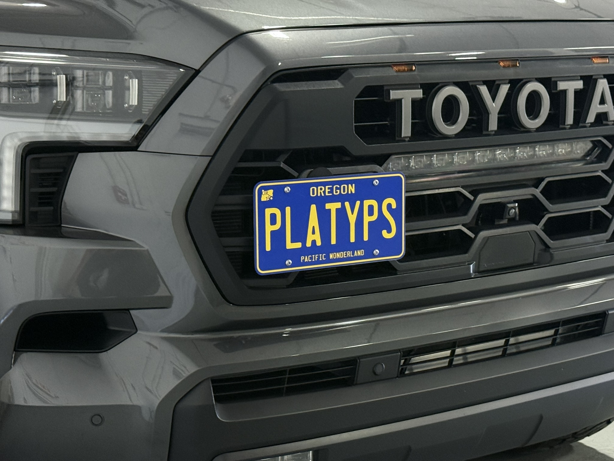 The Platypus License Plate Mount for Toyota Sequoia 3rd gen XK80 2023 to 2026