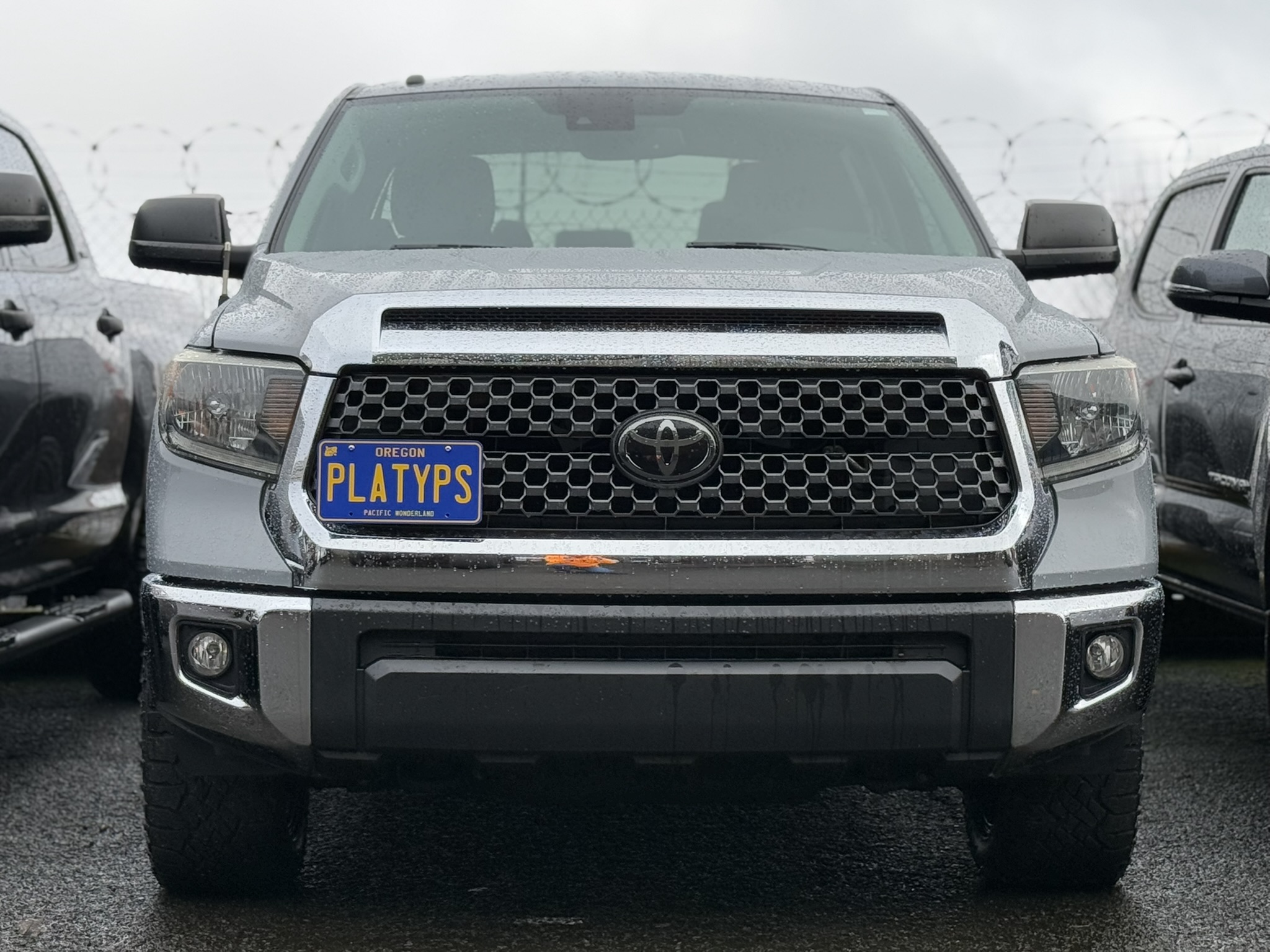https://cdn11.bigcommerce.com/s-351ed/images/stencil/{:size}/products/24615/234993/the_platypus_license_plate_mount_for_toyota_tundra_3rd_gen_xc50_2014_to_2021_12VFDF1_24615__31076.1706319873.jpg?c=2