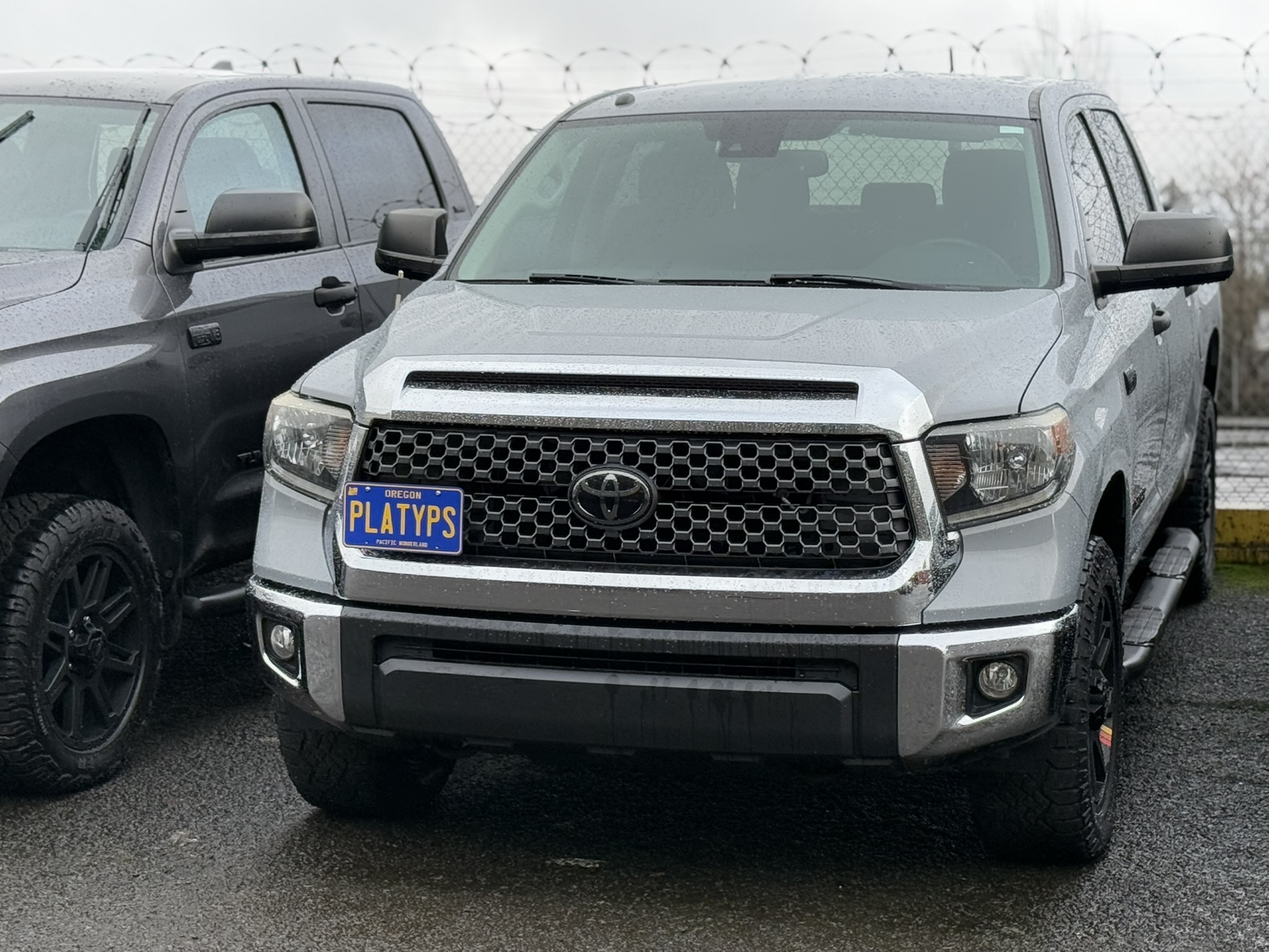 The Platypus License Plate Mount for Toyota Tundra 3rd gen XC50 2014 to 2021