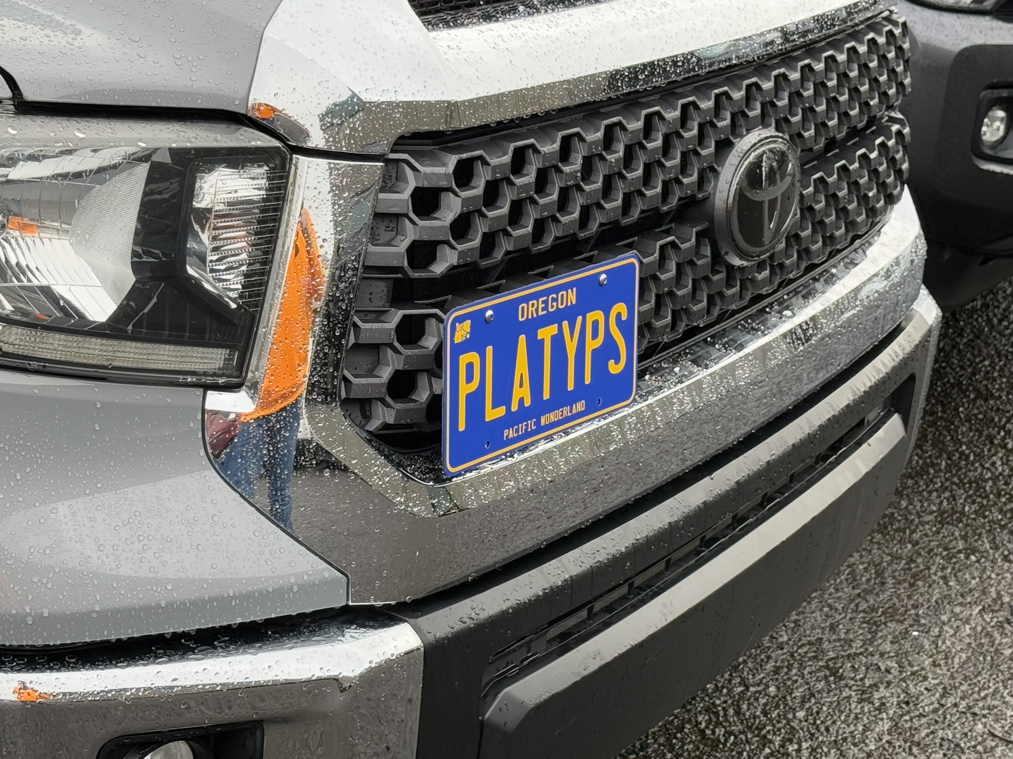 The Platypus License Plate Mount for Toyota Tundra 3rd gen XC50 2014 to 2021