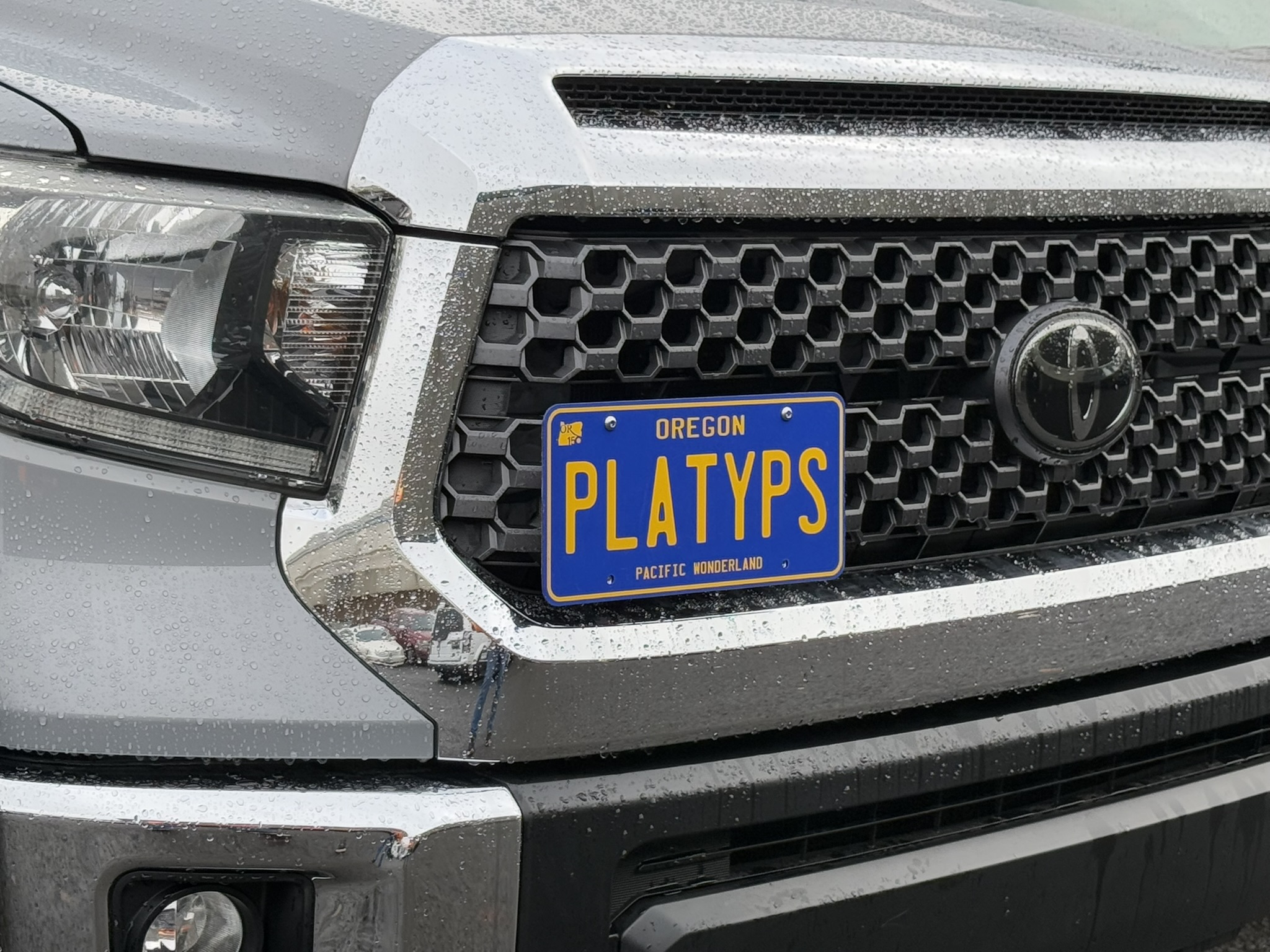 The Platypus License Plate Mount for Toyota Tundra 3rd gen XC50 2014 to 2021