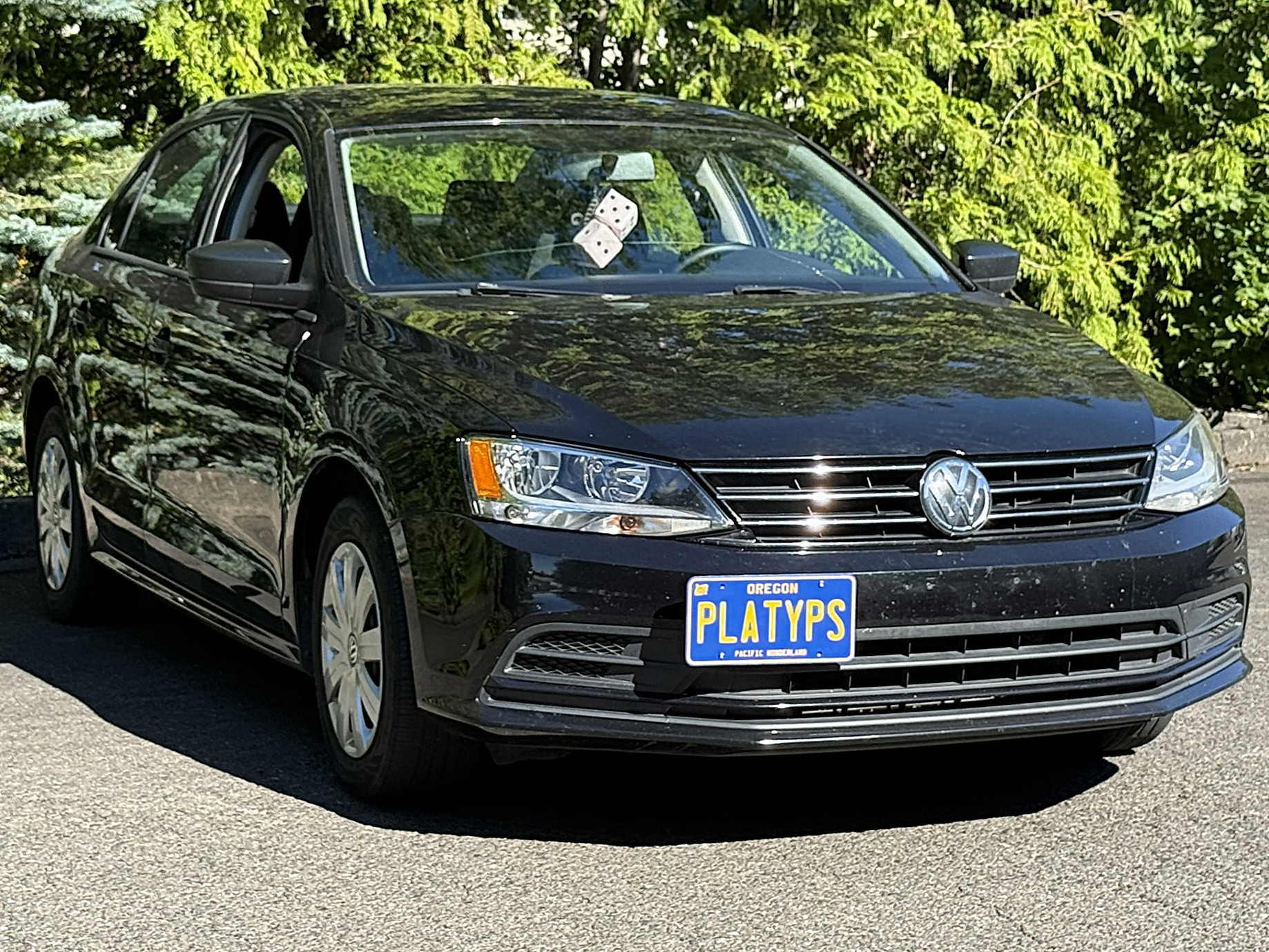 The Platypus License Plate Mount for Volkswagen Jetta A6 Typ 1B 2011 to 2018