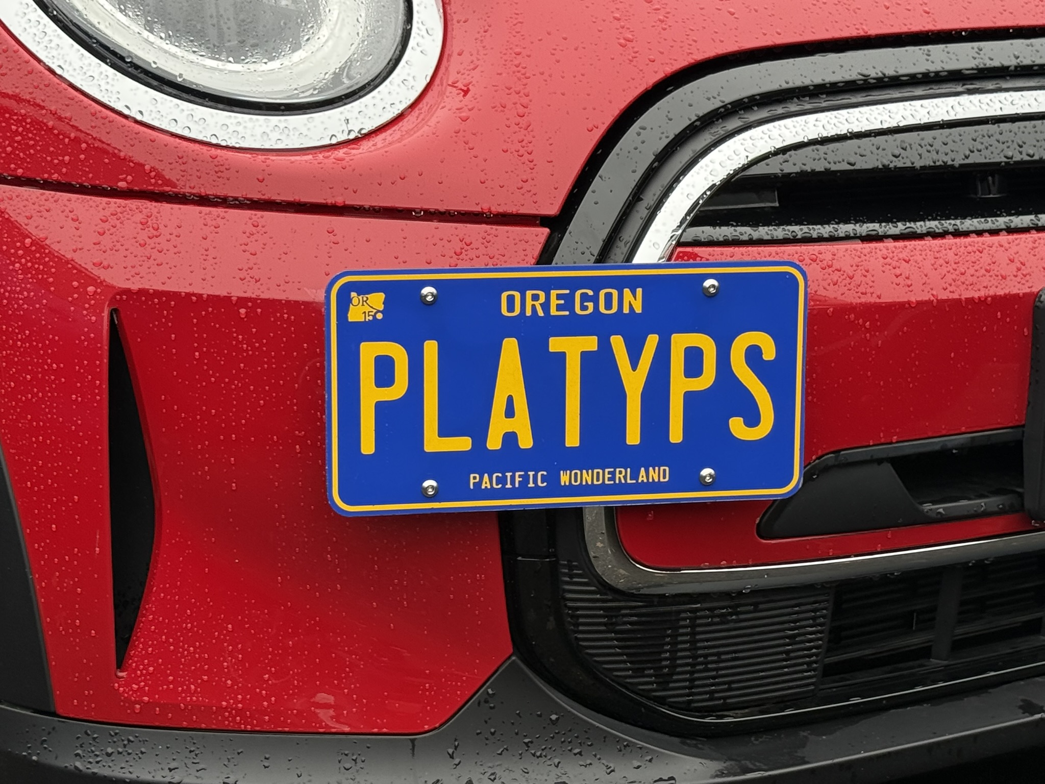 The Platypus License Plate Mount for MINI Cooper F56 2014 to 2024 SE (electric)