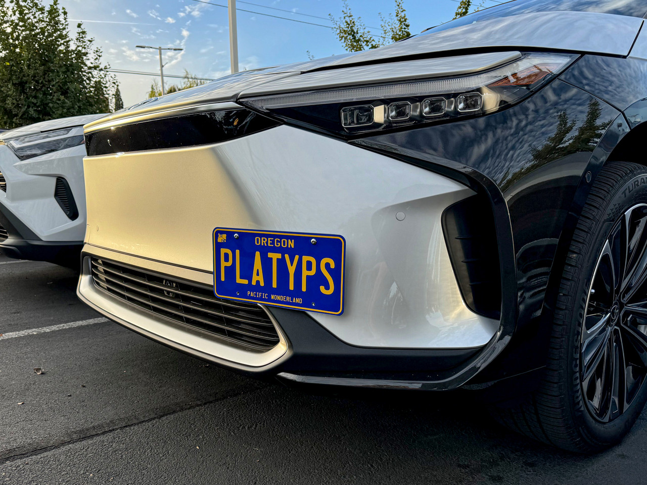 The Platypus License Plate Mount for Lexus RZ EB10 2023 to 2023