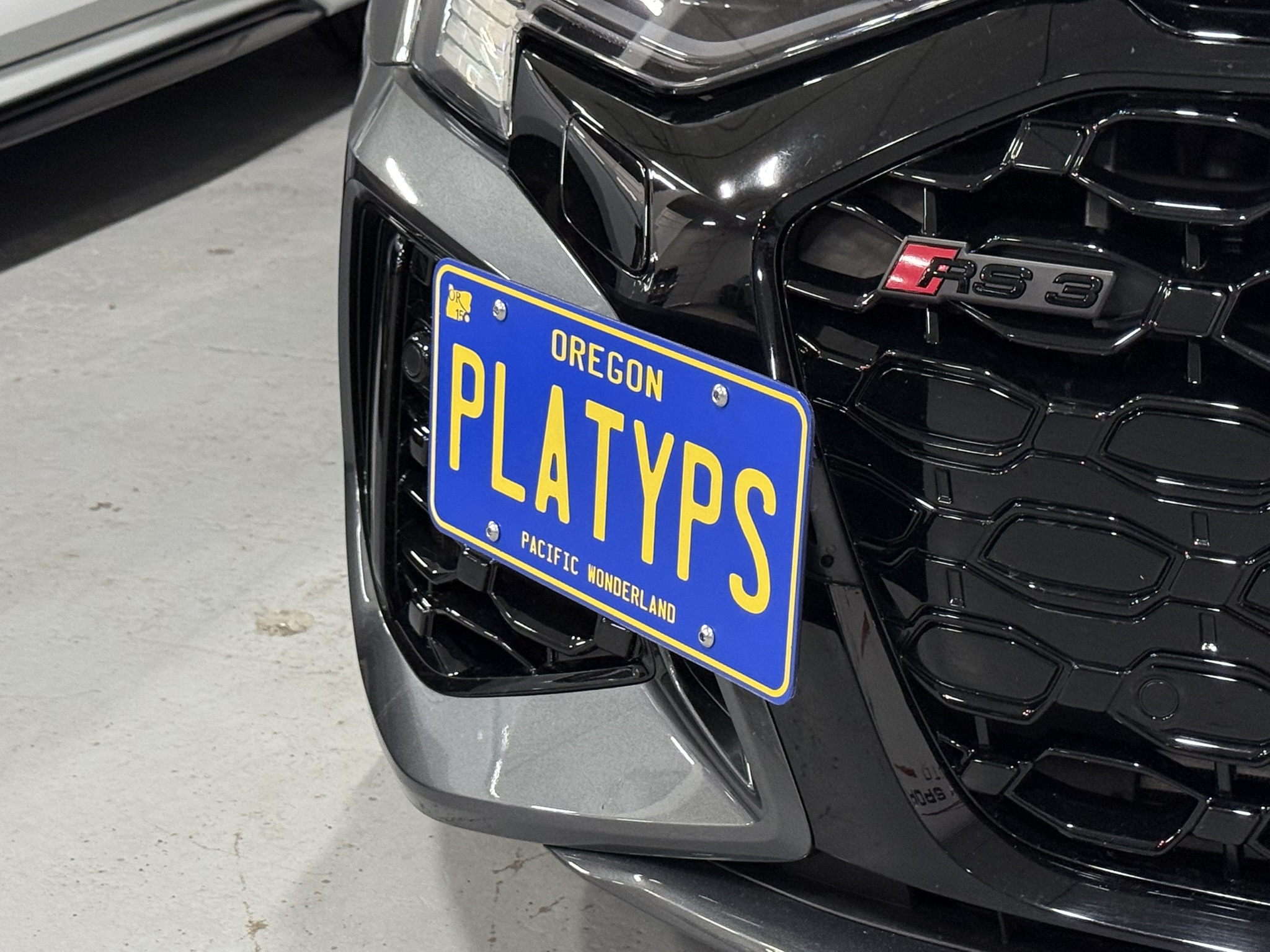 The Platypus License Plate Mount for Audi RS 3 8V 2017 to 2025 2022-2024