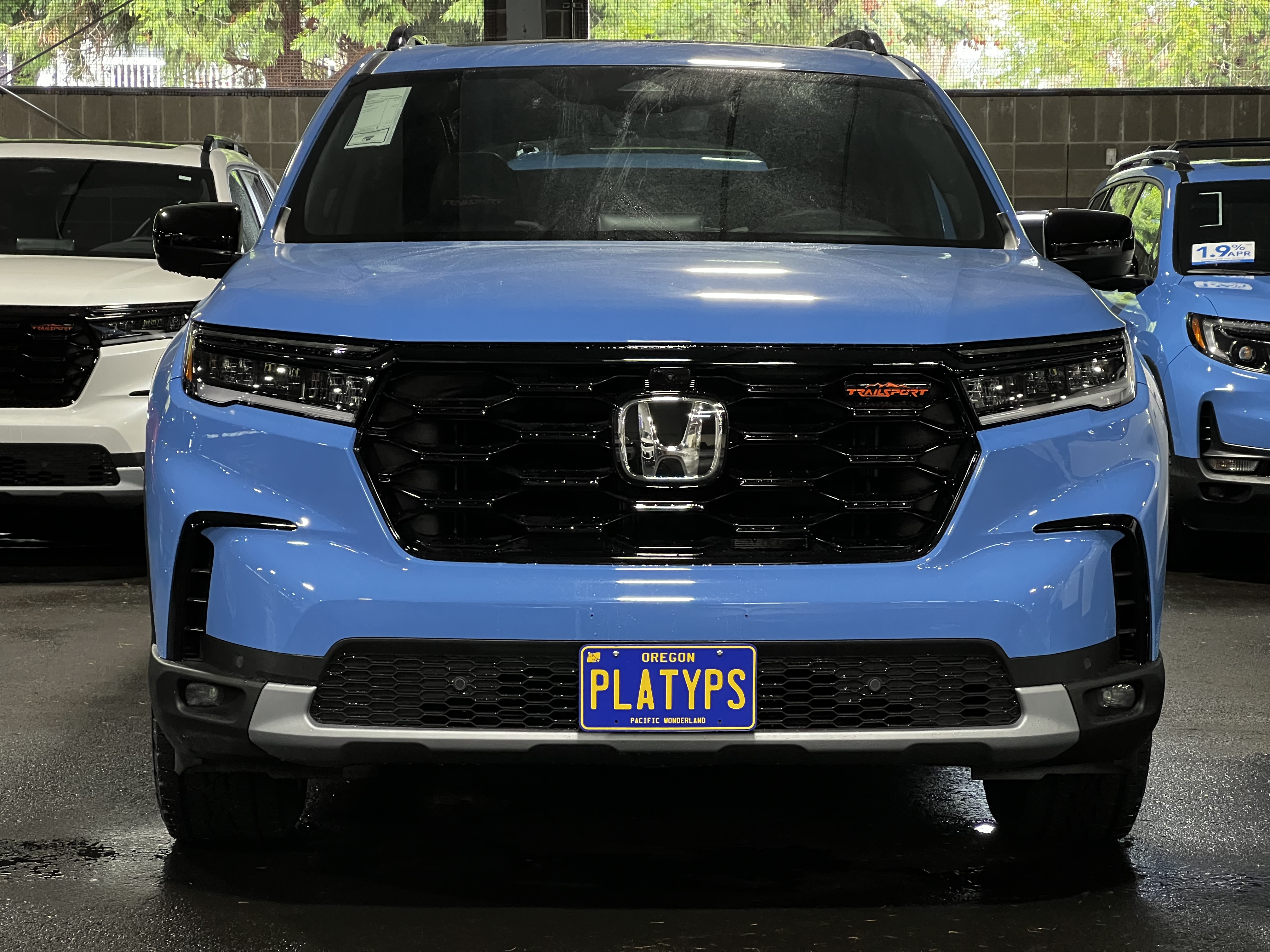 https://cdn11.bigcommerce.com/s-351ed/images/stencil/{:size}/products/28817/255390/the_platypus_license_plate_mount_for_honda_pilot_4th_gen_2023_to_2024_74GJ8O8_28817__33726.1723568542.jpg?c=2