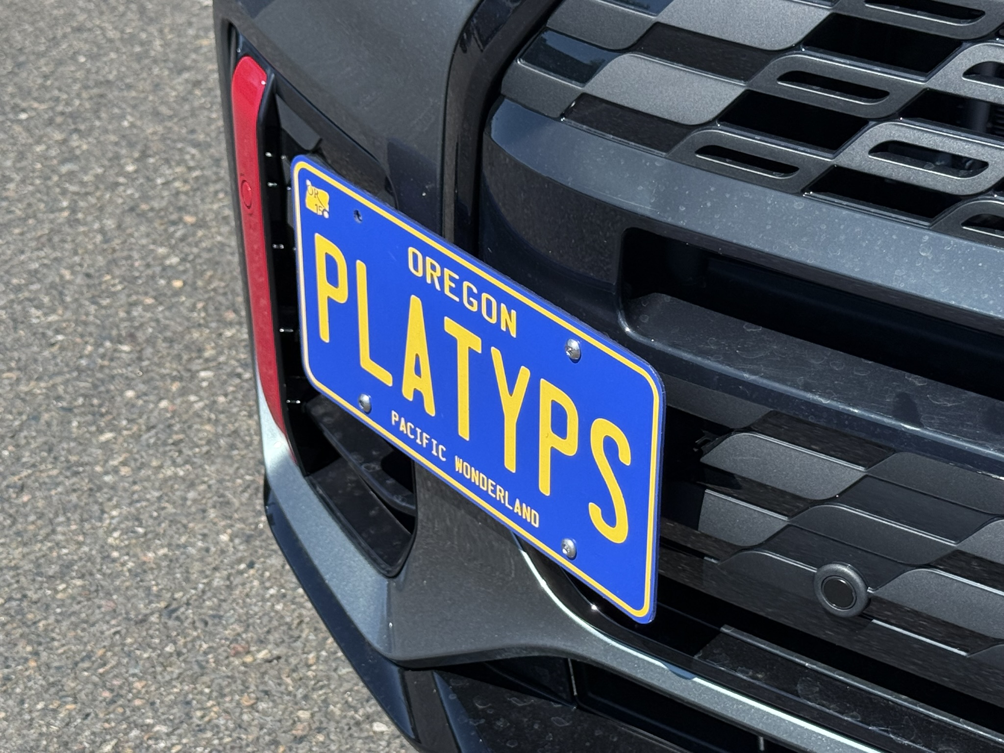 The Platypus License Plate Mount for MINI Countryman U25 2025 to 2025