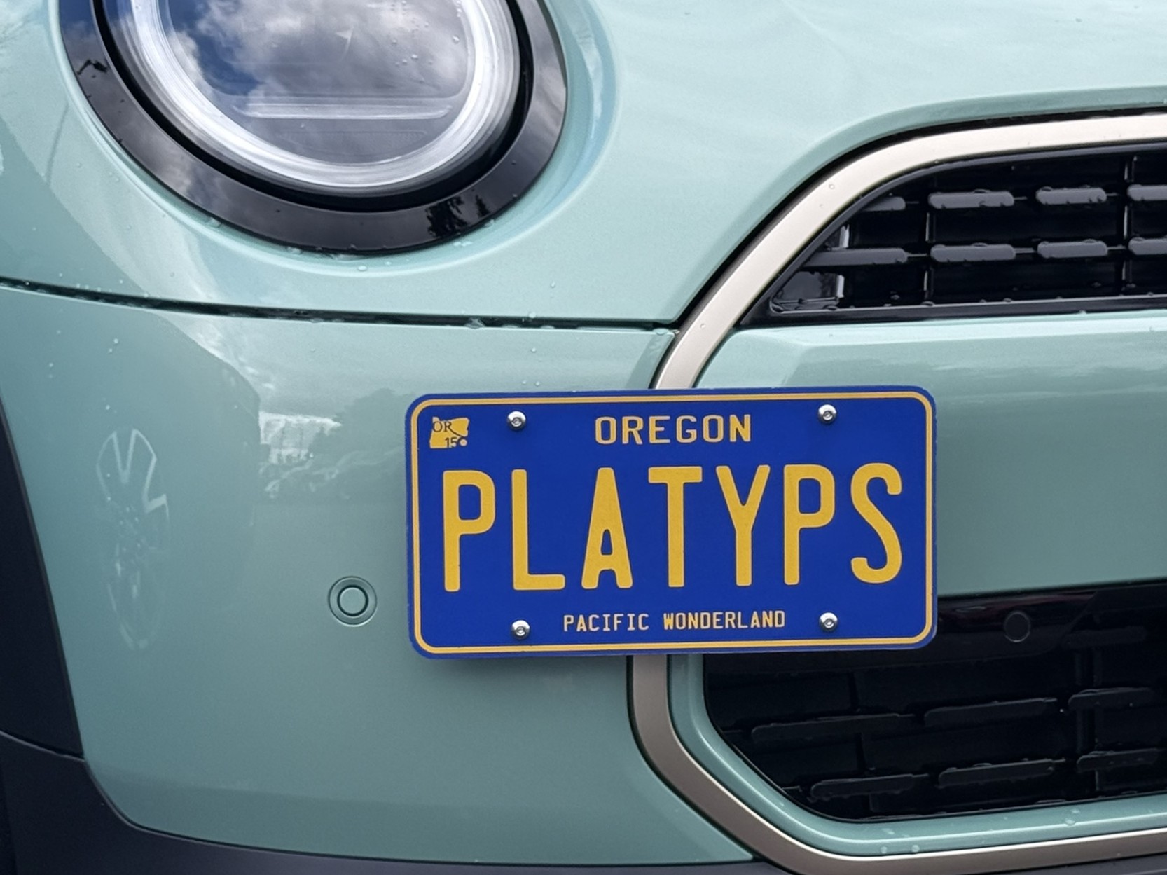 The Platypus License Plate Mount for MINI Cooper F66 2025 to 2028