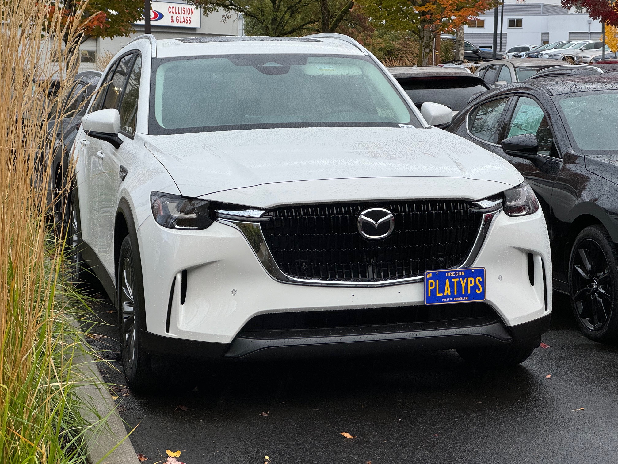 The Platypus License Plate Mount for Mazda CX-90 2024 to 2024