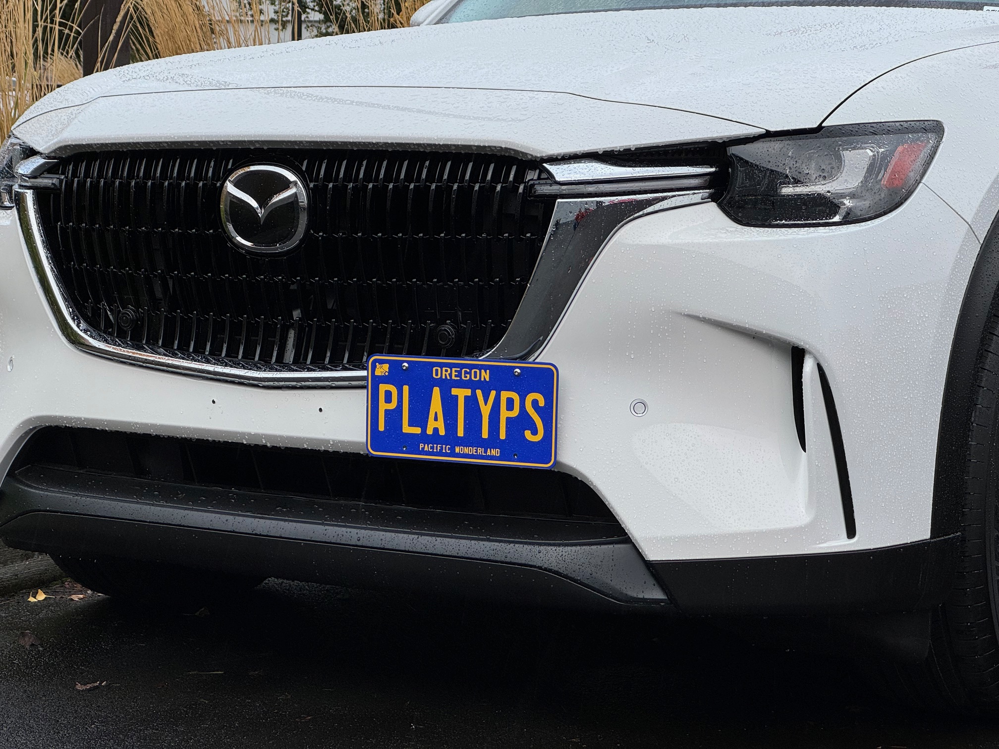 The Platypus License Plate Mount for Mazda CX-90 2024 to 2024