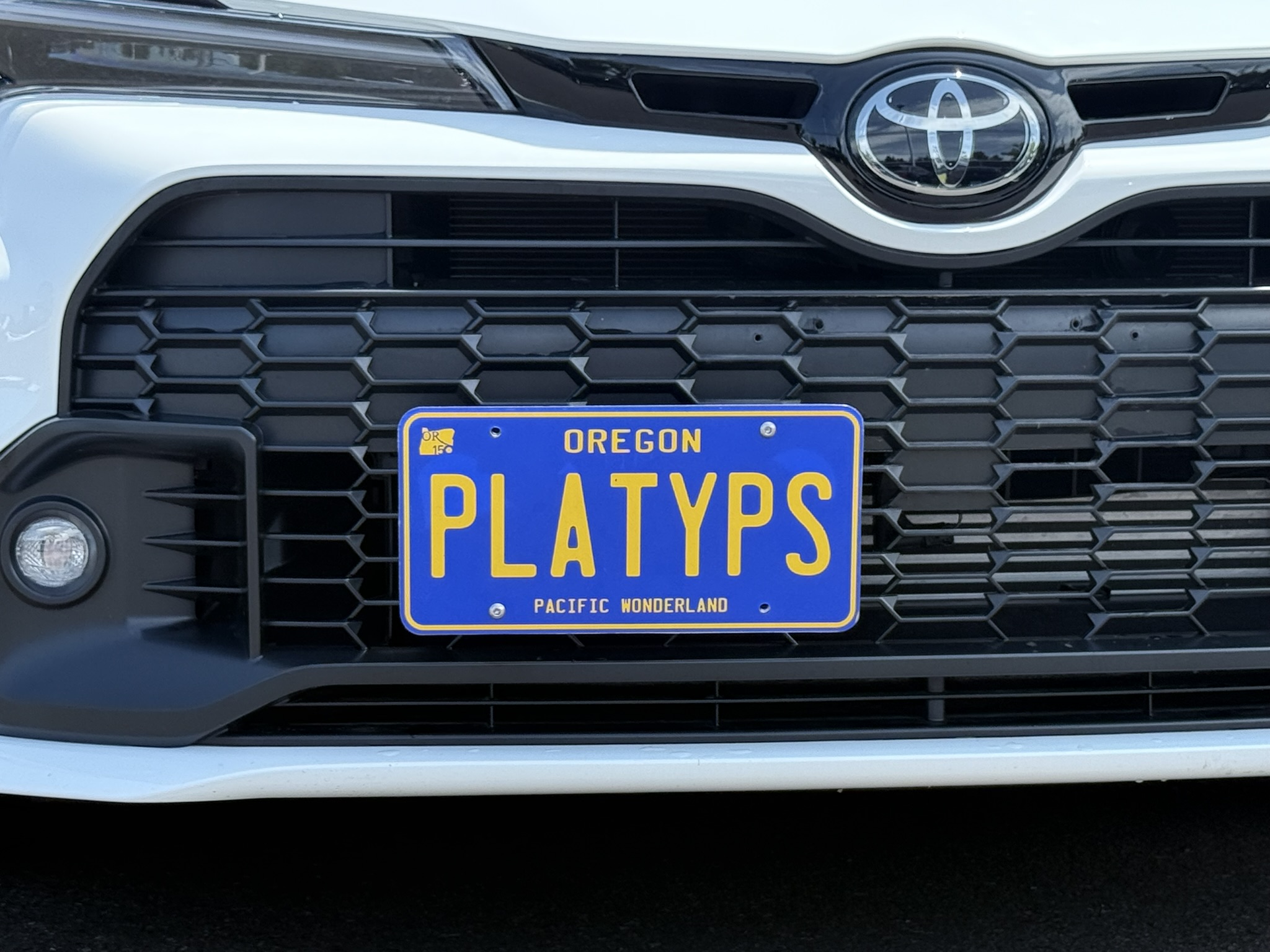 The Platypus License Plate Mount for Toyota GR Corolla 5th gen A90 2023 to 2025