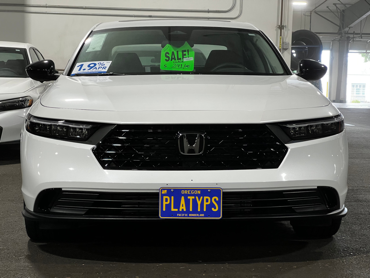 https://cdn11.bigcommerce.com/s-351ed/images/stencil/{:size}/products/29483/278666/the_platypus_license_plate_mount_for_honda_accord_hybrid_11th_gen_2023_to_2025_7CNWZWT_29483__02189.1735589827.jpg?c=2