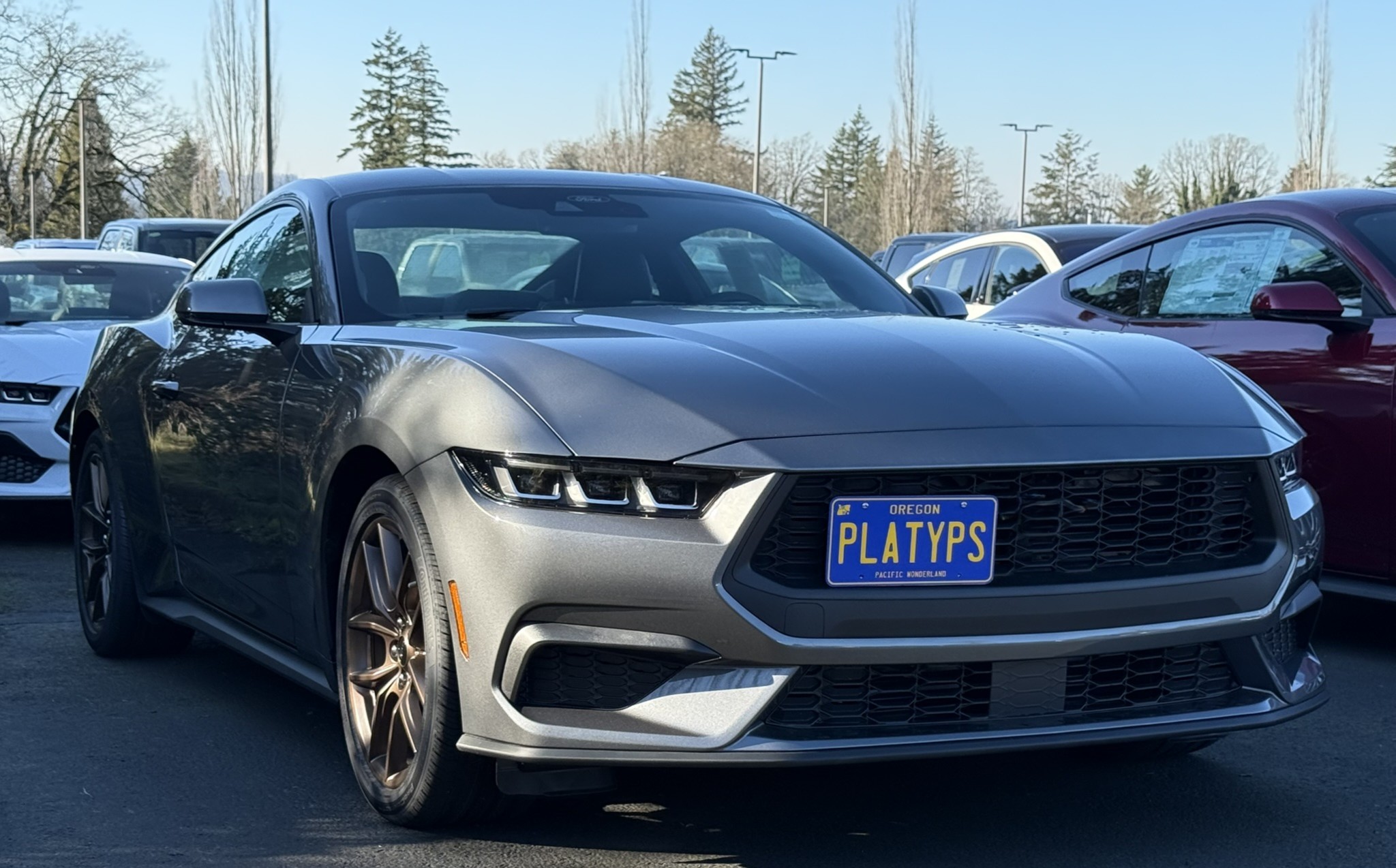 The Platypus License Plate Mount for Ford Mustang 7th gen 2024 to 2024