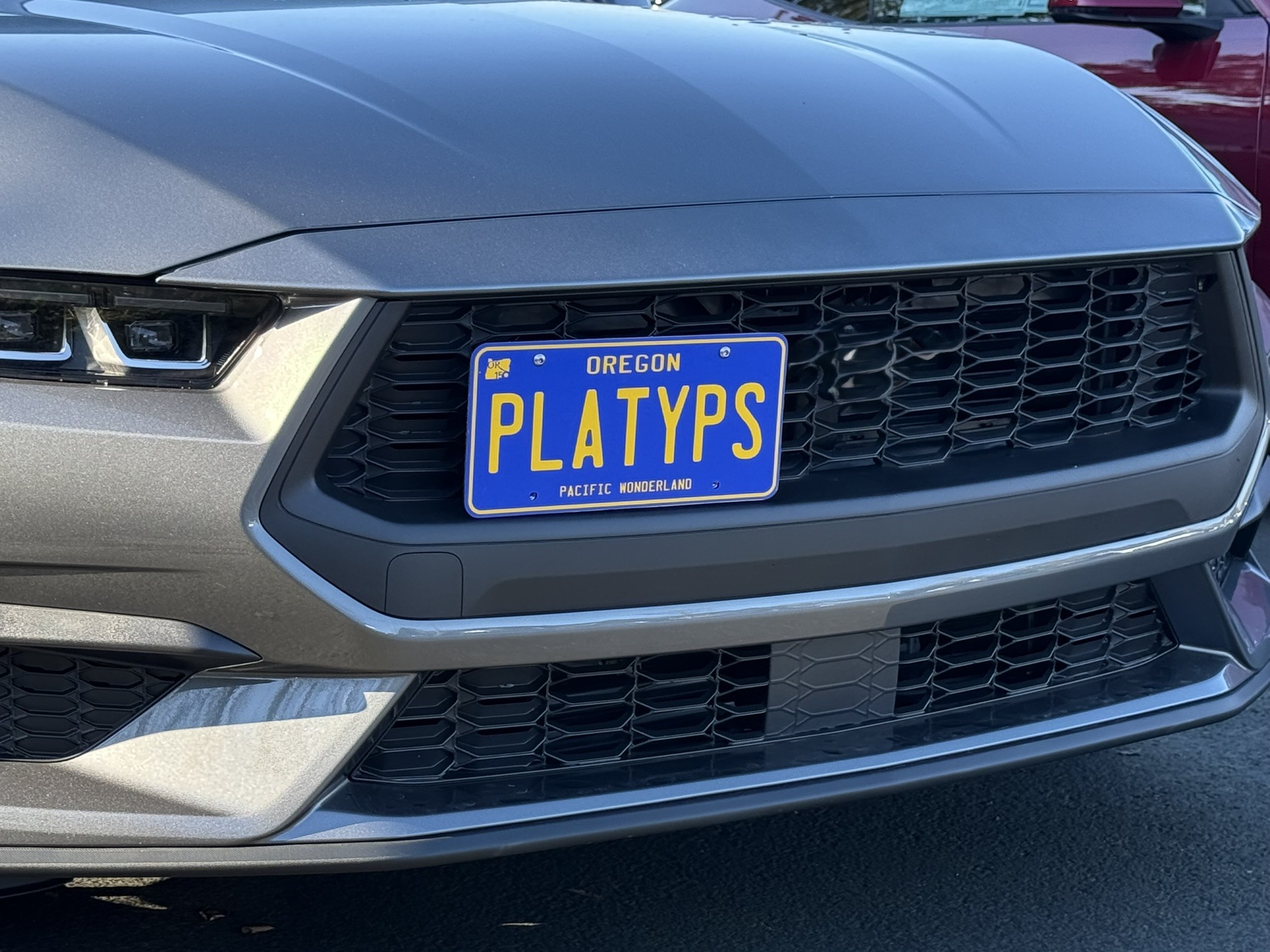 The Platypus License Plate Mount for Ford Mustang 7th gen 2024 to 2024