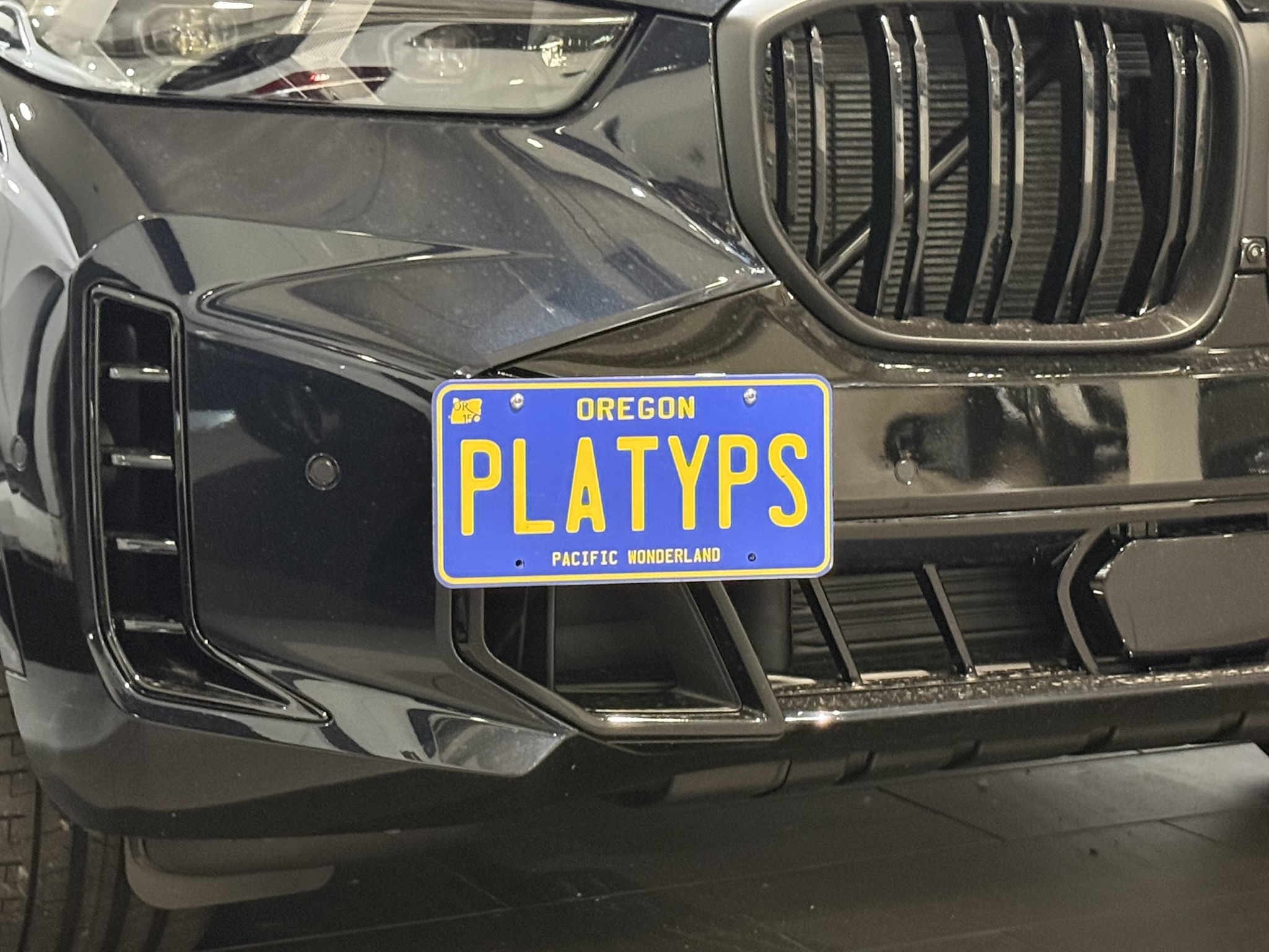 The Platypus License Plate Mount for BMW X5 G05 2019 to 2025 M60i