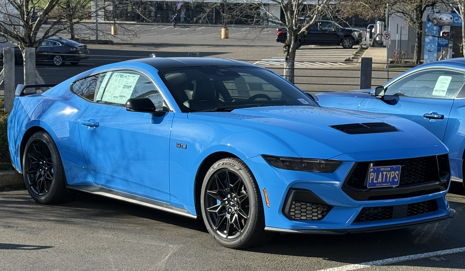 The Platypus License Plate Mount for Ford Mustang 7th gen 2024 to 2024 GT