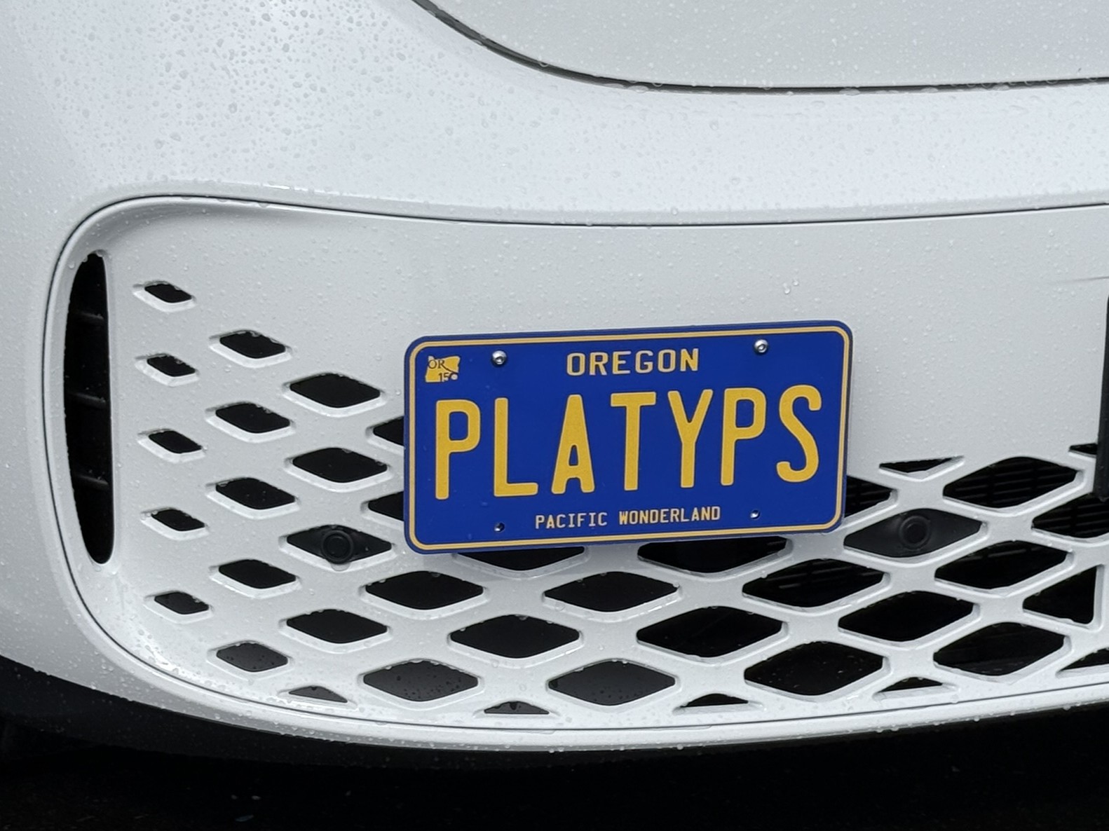 The Platypus License Plate Mount for Volkswagen ID. Buzz 2025 to 2025