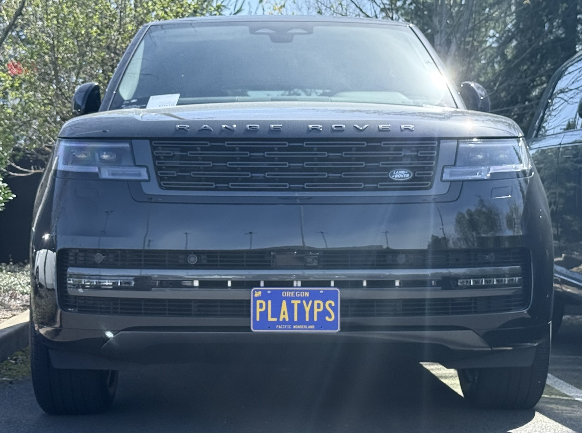 https://cdn11.bigcommerce.com/s-351ed/images/stencil/{:size}/products/29758/280733/the_platypus_license_plate_mount_for_land_rover_range_rover_5th_gen_2022_to_2025_5ZQL9TQ_29758__15578.1744042684.jpg?c=2