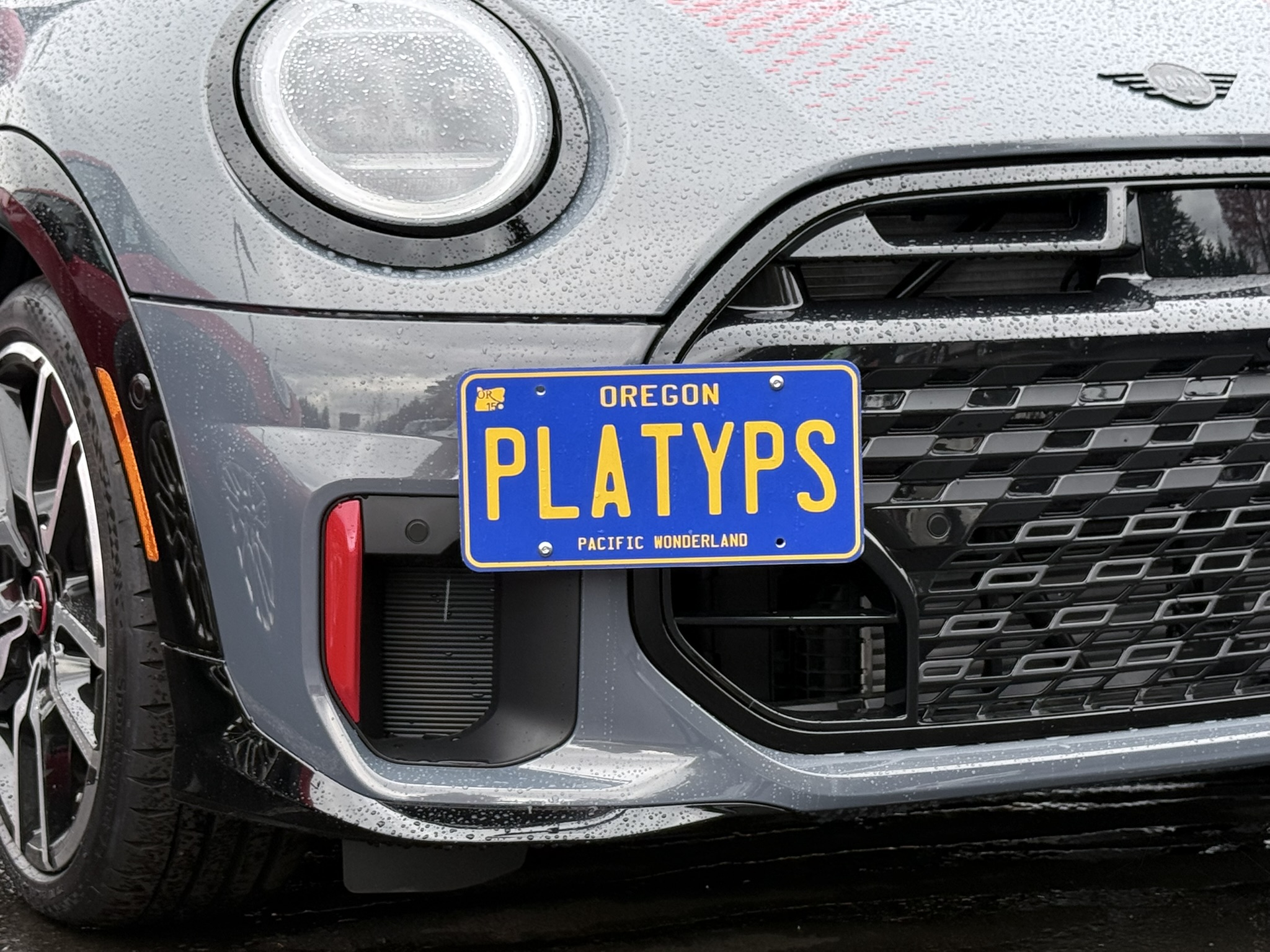 The Platypus License Plate Mount for MINI Cooper F67 2025 to 2028