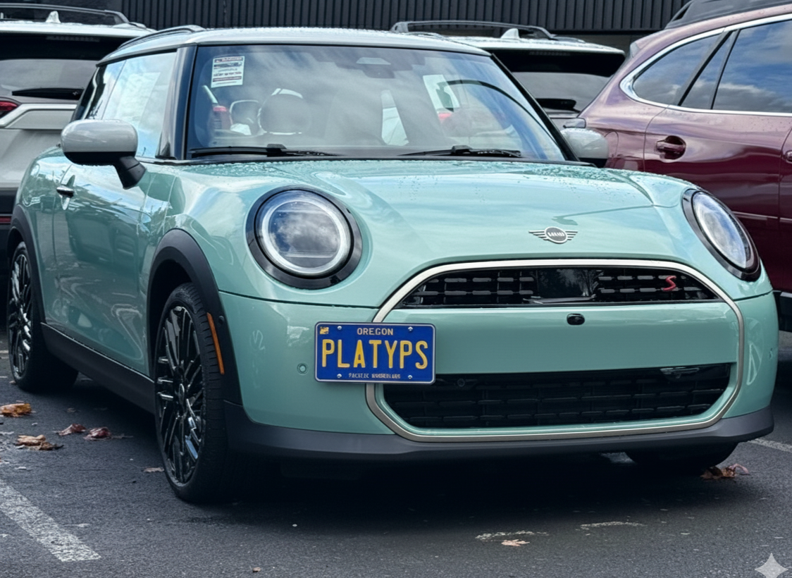 The Platypus License Plate Mount shown on 4th gen MINI Cooper S.