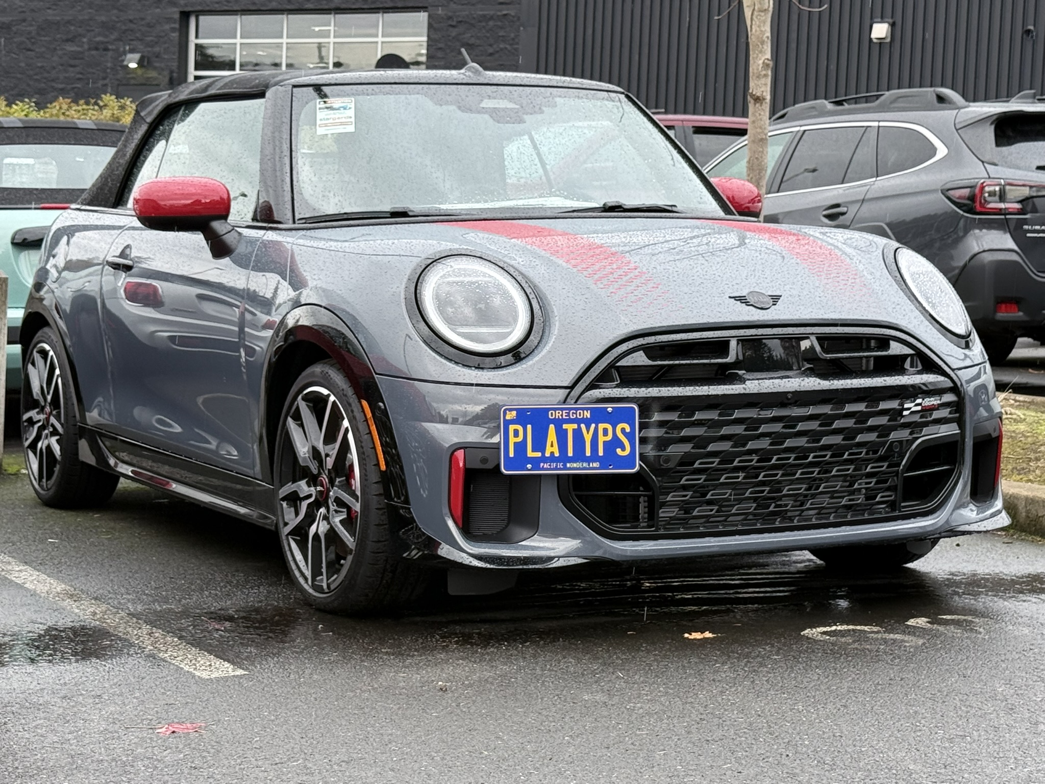 https://cdn11.bigcommerce.com/s-351ed/images/stencil/{:size}/products/29762/289606/CS-AB883-ISU_29762_the_platypus_license_plate_mount_for_mini_cooper_f65_2025_to_2028__01973.1763480665.jpg?c=2