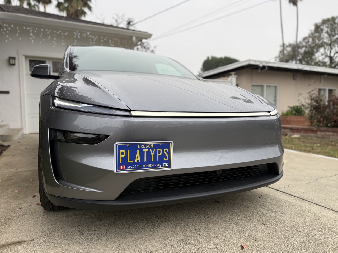 Special thanks to one of our customers for sending in a pic of The Platypus installed on their 2026 Tesla Model Y! 