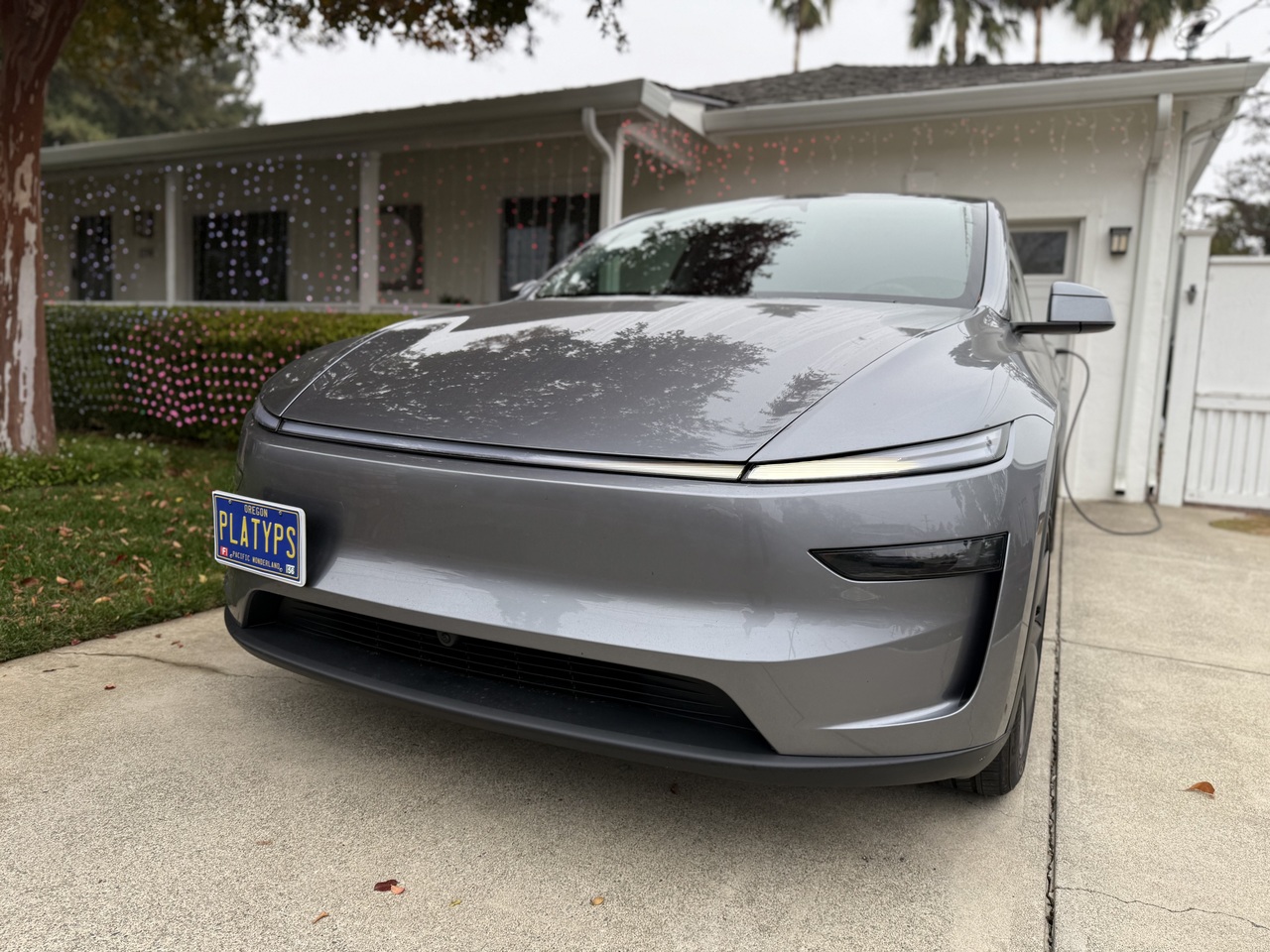 The Platypus License Plate Mount for Tesla Model Y Juniper 2026 to 2028