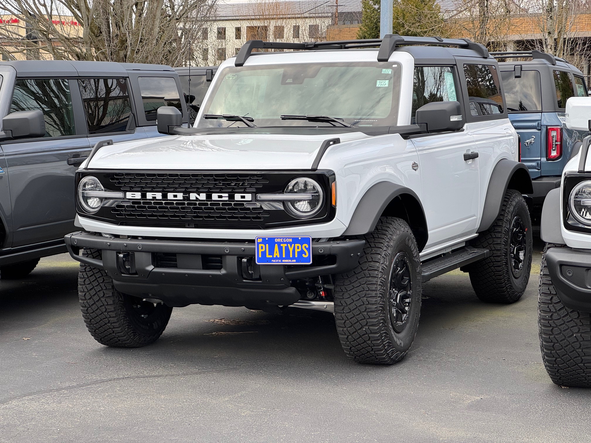 https://cdn11.bigcommerce.com/s-351ed/images/stencil/{:size}/products/29824/281297/the_platypus_license_plate_mount_for_ford_bronco_6th_gen_2021_to_2025_bumper_mount_hd_modular_bumper_only_4BLCJZZ_29824__53474.1745446485.jpg?c=2