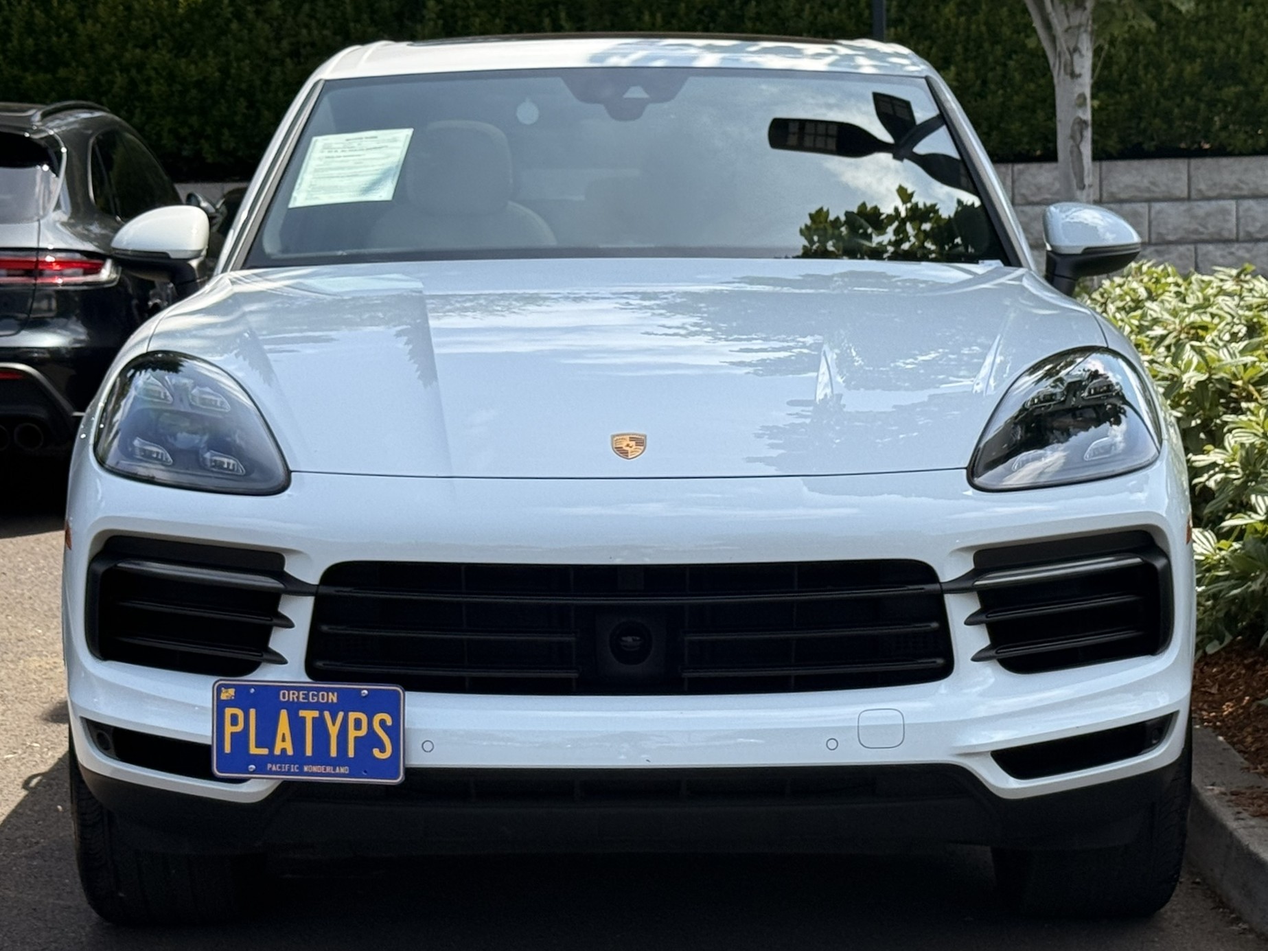 https://cdn11.bigcommerce.com/s-351ed/images/stencil/{:size}/products/29843/281175/the_platypus_license_plate_mount_for_porsche_cayenne_9ya_2019_to_2025_pre-facelift_2019_-_2023_XAB6R42_29843__22137.1745338395.jpg?c=2