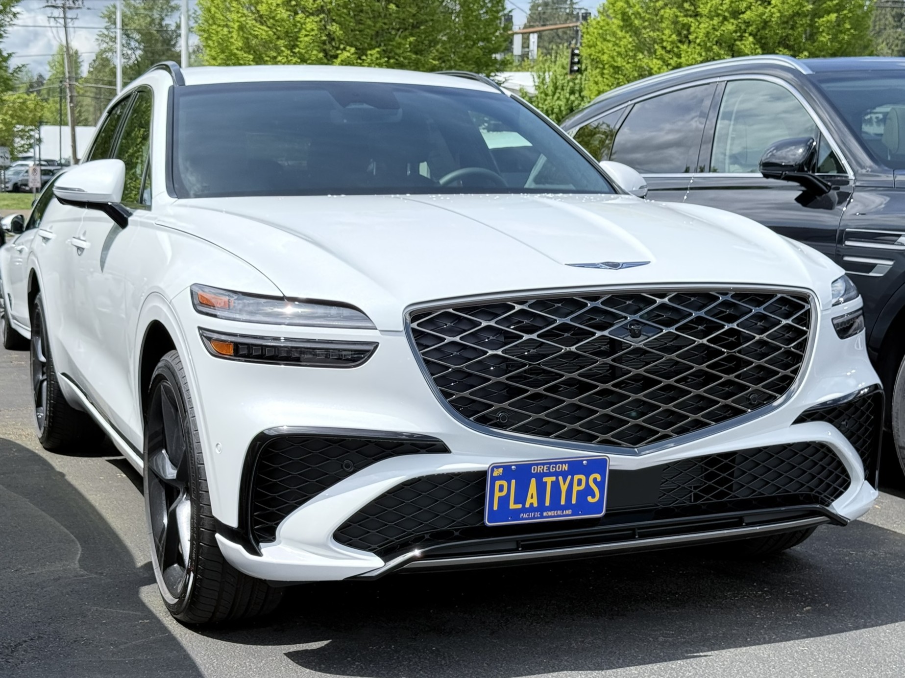 The Platypus License Plate Mount for Sport Advanced & Sport Prestige trim Genesis GV70 2022 to 2026 2026+