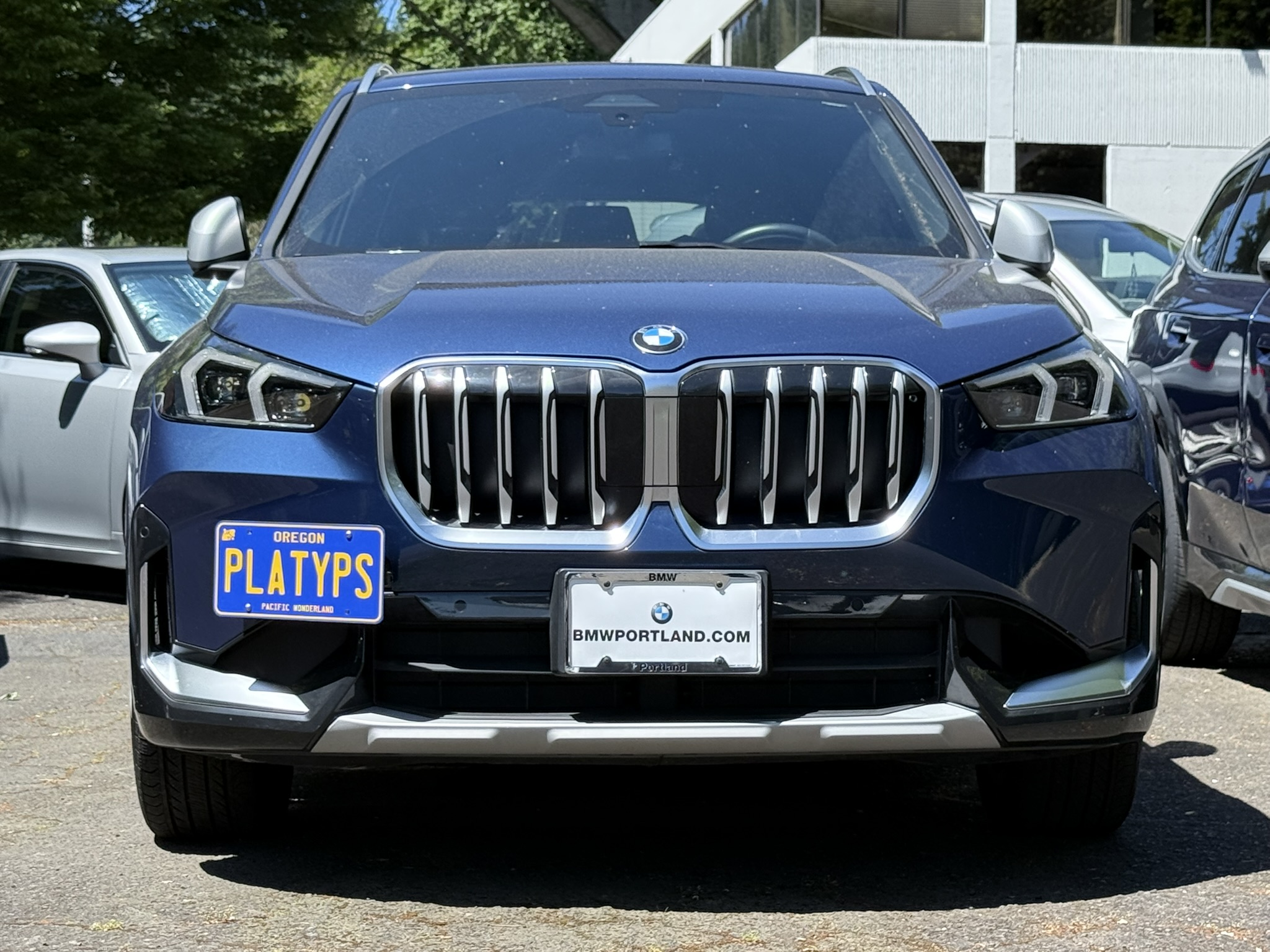https://cdn11.bigcommerce.com/s-351ed/images/stencil/{:size}/products/29949/283408/the_platypus_license_plate_mount_for_bmw_x1_u11_2023_to_2025_xdrive28i_WHXKGE6_29949__11004.1748451341.jpg?c=2