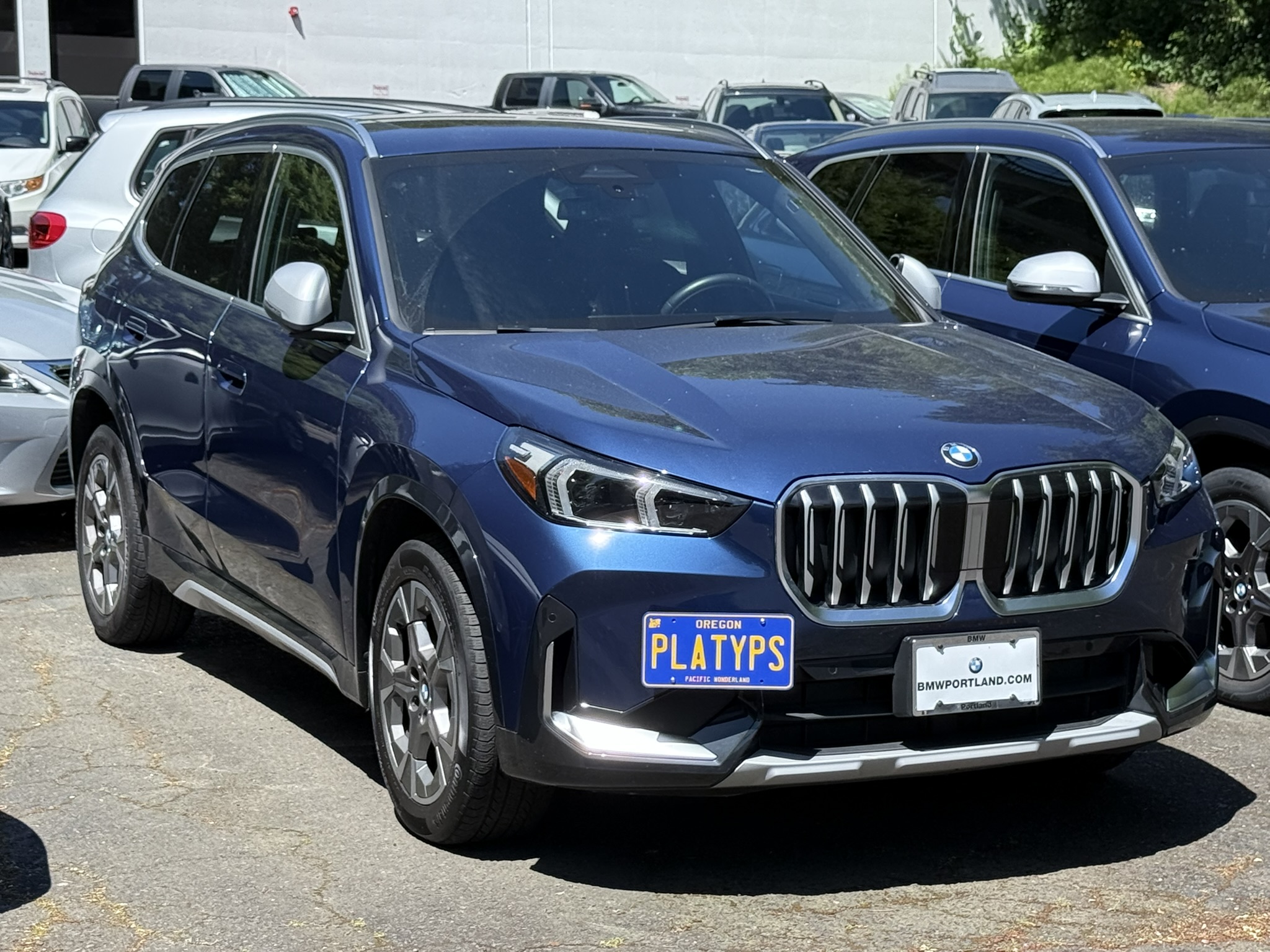 The Platypus License Plate Mount for BMW X1 U11 2023 to 2025 xDrive28i