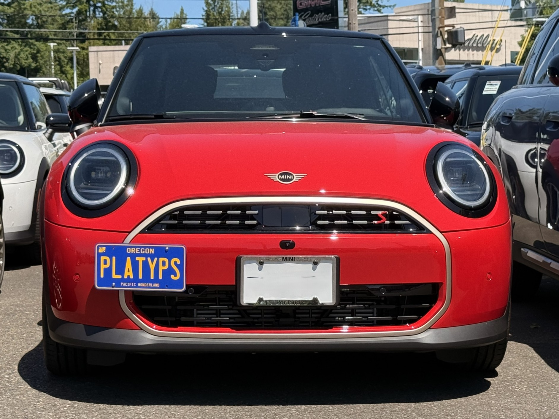 https://cdn11.bigcommerce.com/s-351ed/images/stencil/{:size}/products/29952/283460/the_platypus_license_plate_mount_for_mini_convertible_f67_2025_to_2026_5B0RWNB_29952__40335.1748533520.jpg?c=2