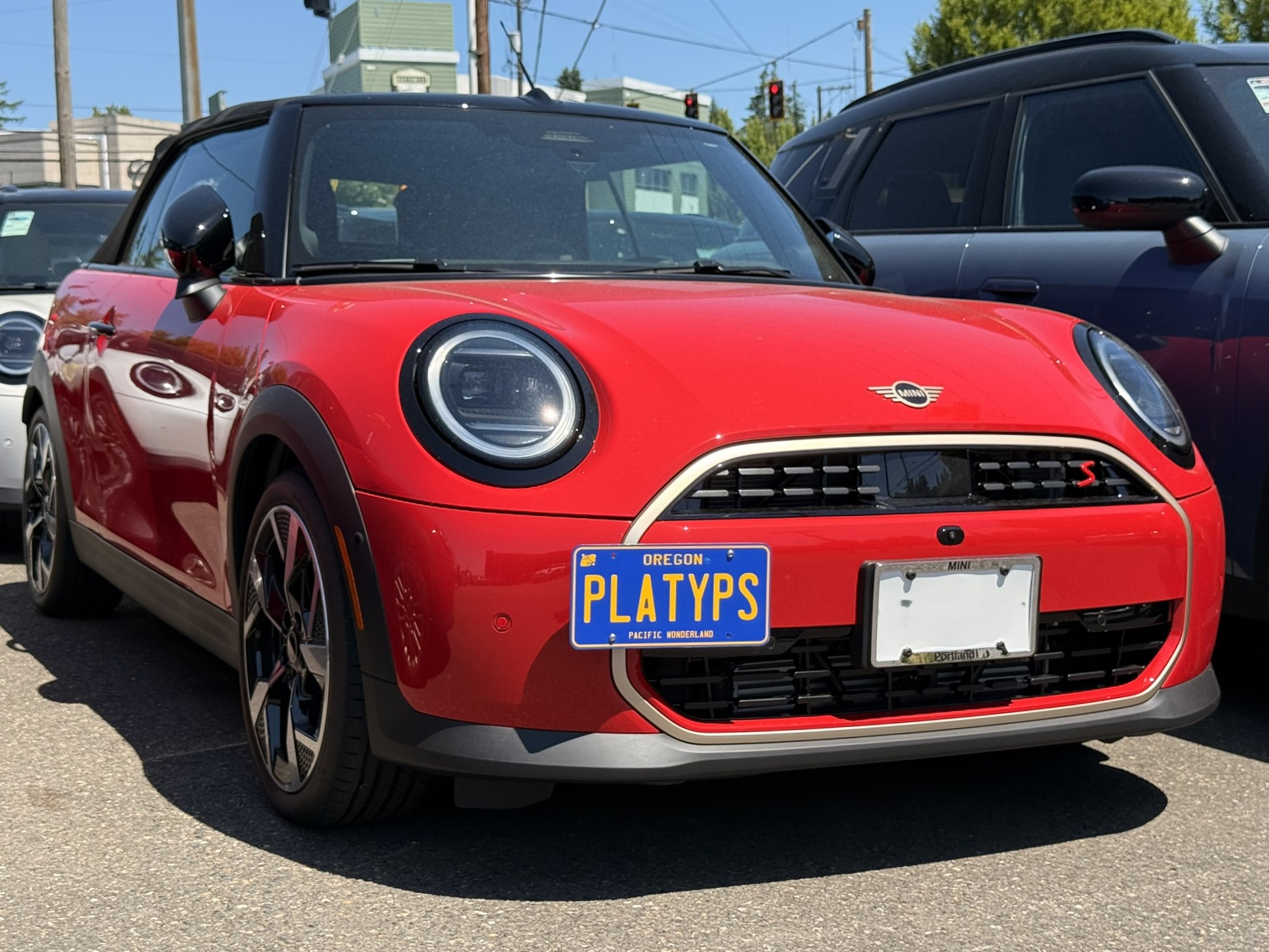 The Platypus License Plate Mount for MINI Convertible F67 2025 to 2026