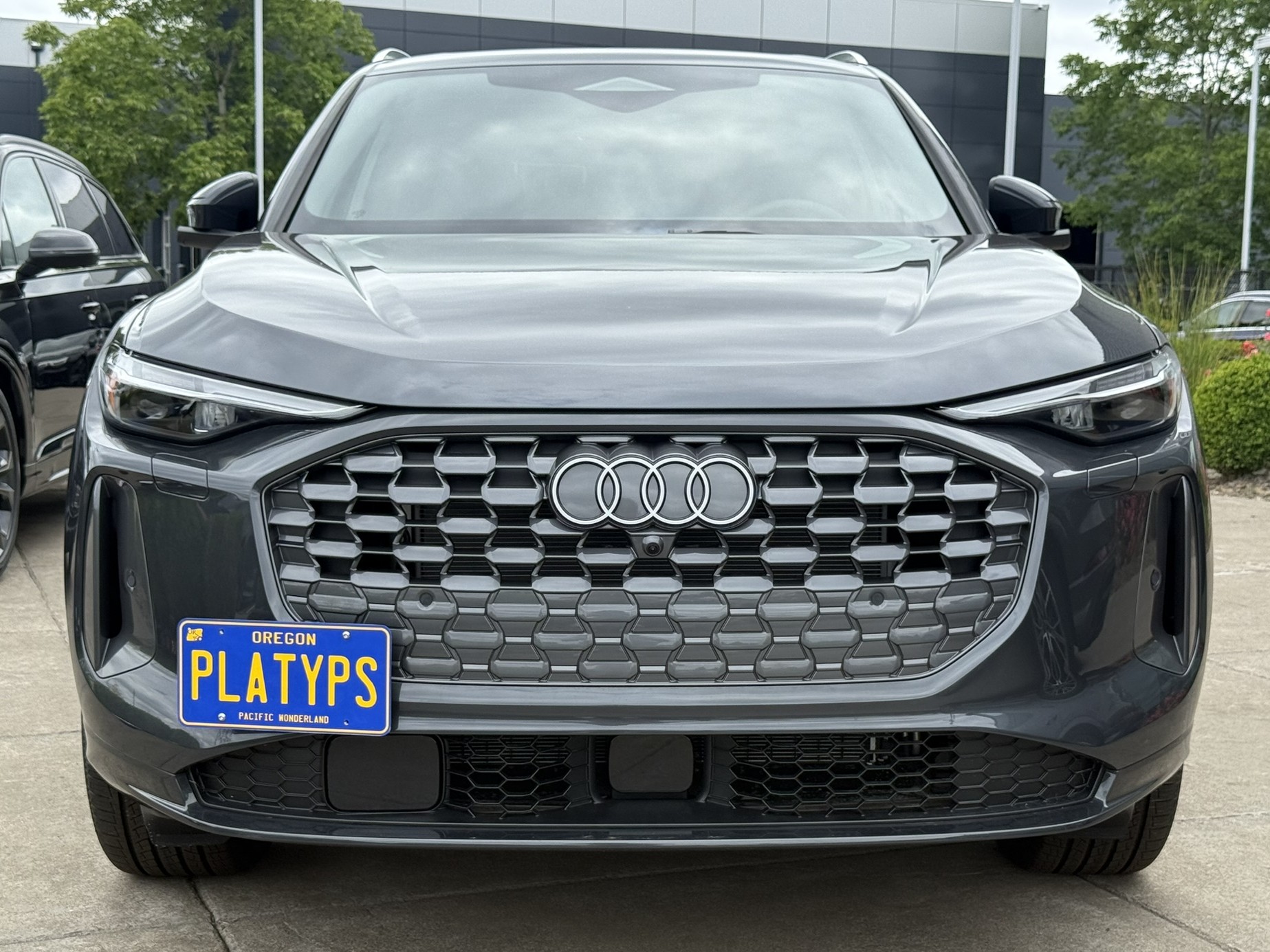 https://cdn11.bigcommerce.com/s-351ed/images/stencil/{:size}/products/30201/285337/the_platypus_license_plate_mount_for_audi_q5_3rd_gen_2025_to_2026_all_new_audi_q5_XPPMMRT_30201__31044.1751039181.jpg?c=2