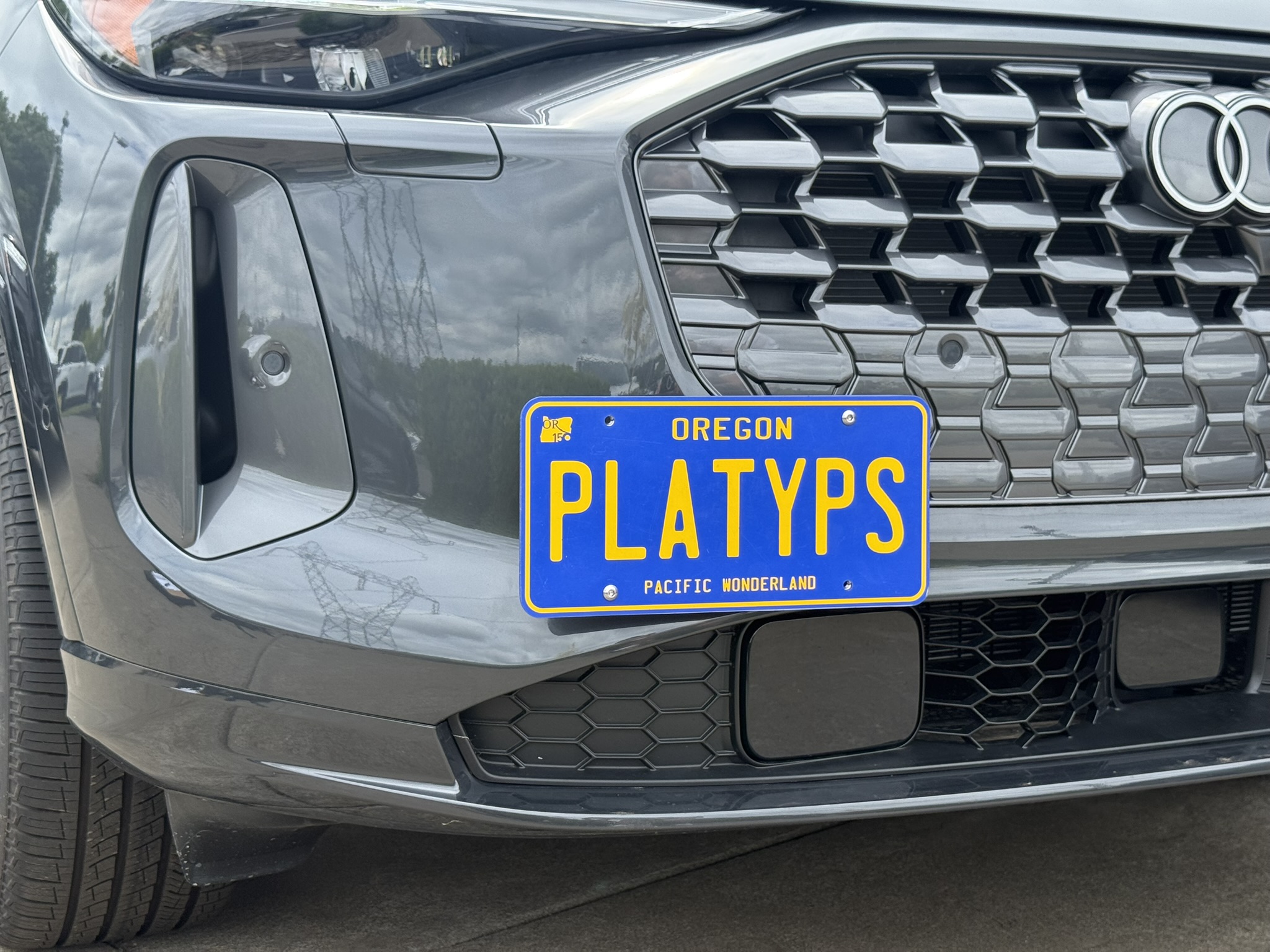 The Platypus License Plate Mount for Audi Q5 3rd gen 2025 to 2026 All New Audi Q5