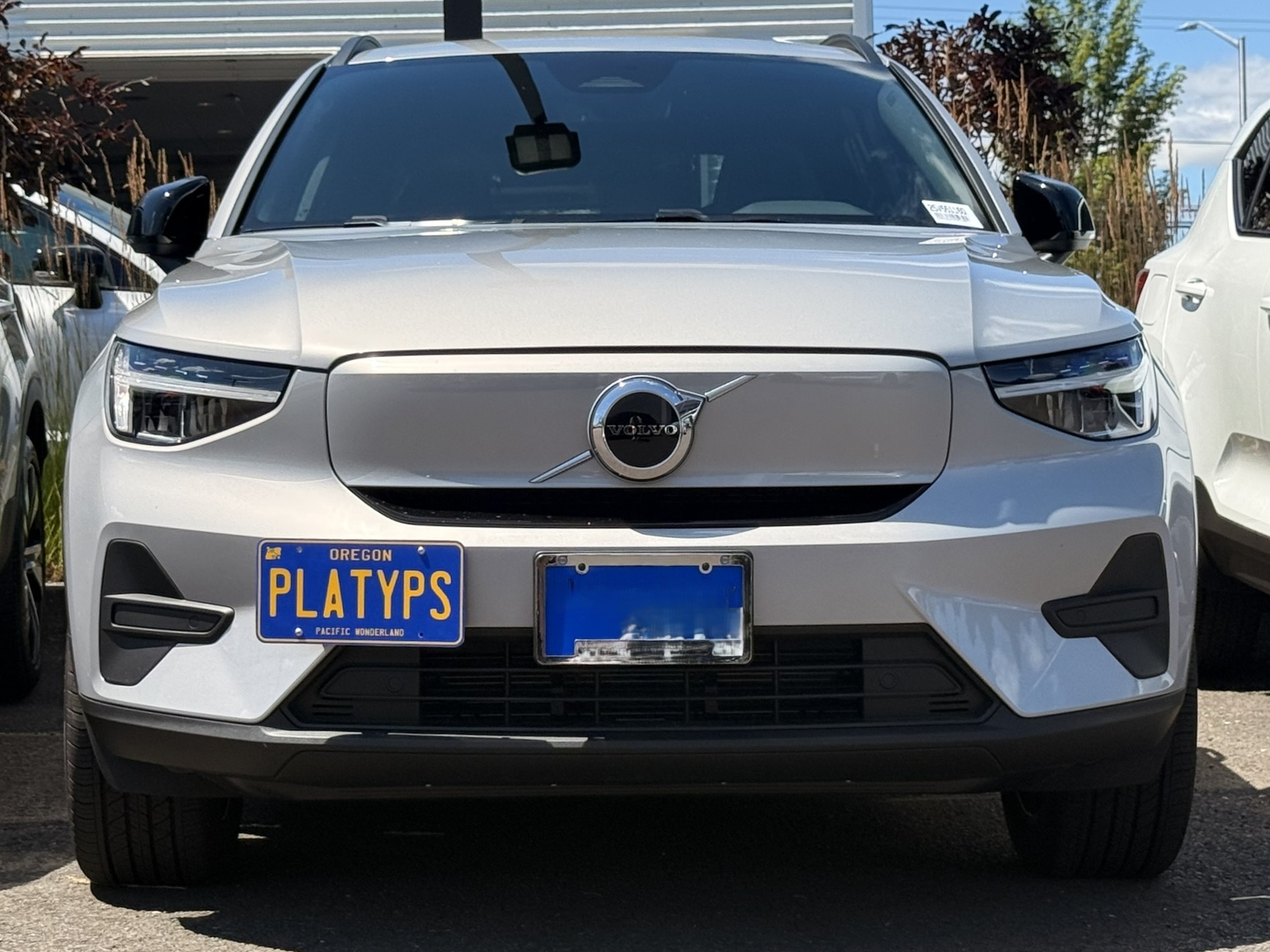 https://cdn11.bigcommerce.com/s-351ed/images/stencil/{:size}/products/30216/285543/the_platypus_license_plate_mount_for_volvo_ex40_2025_to_2025_QP3FPS9_30216__65817.1751580019.jpg?c=2