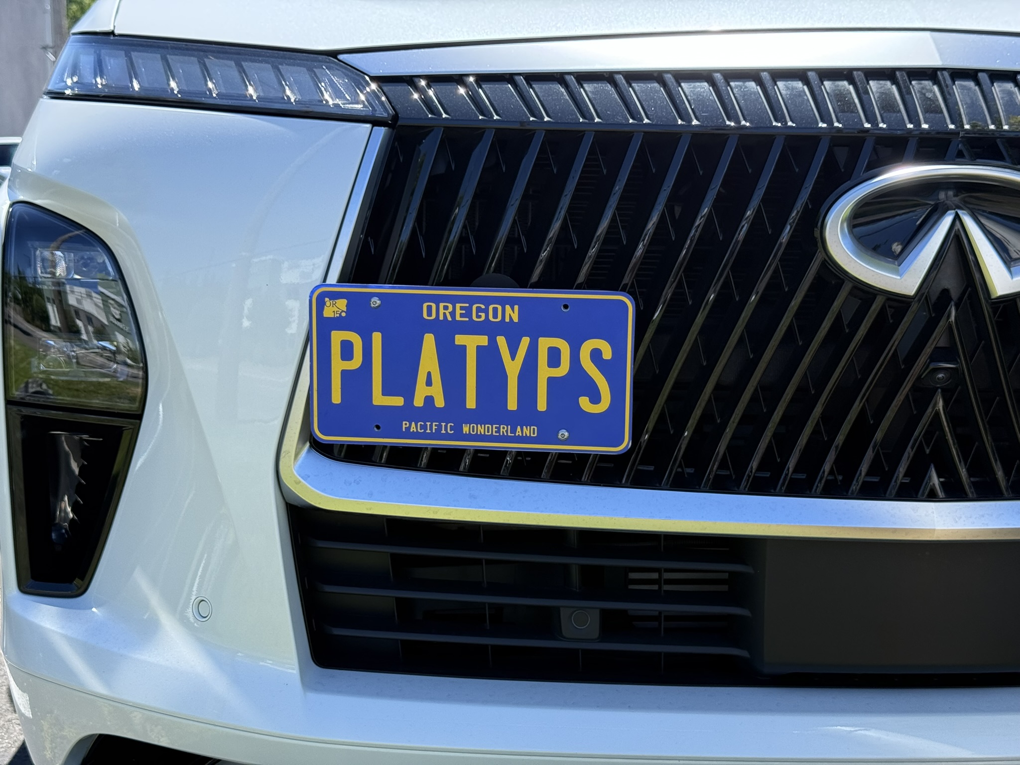 The Platypus License Plate Mount for INFINITI QX80 3rd gen Z63