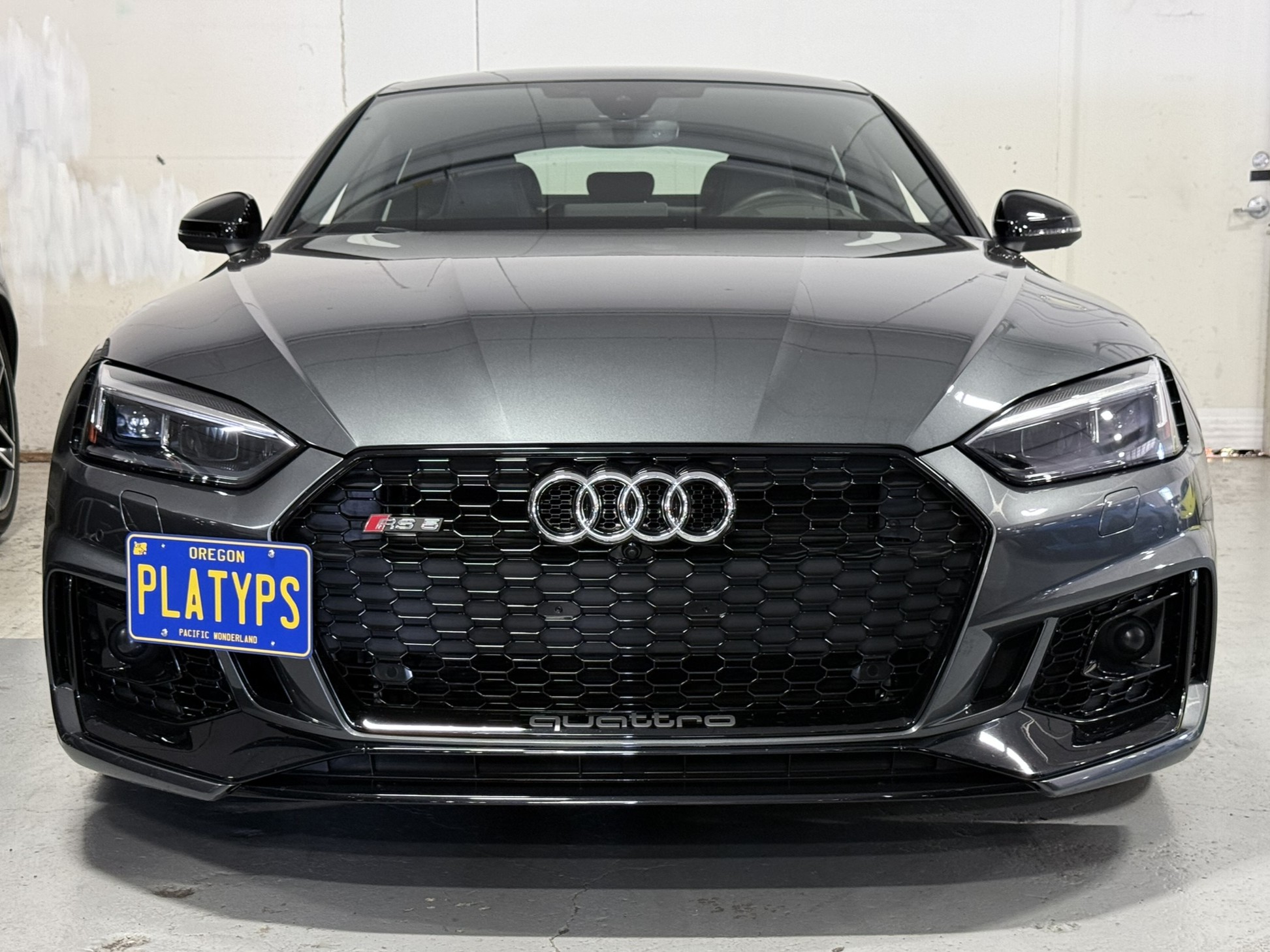 https://cdn11.bigcommerce.com/s-351ed/images/stencil/{:size}/products/30259/286166/the_platypus_license_plate_mount_for_audi_rs_5_b9_-_8w_2018_to_2025_2018_amp_2019_pre-facelift_Q1480H2_30259__25809.1753897383.jpg?c=2