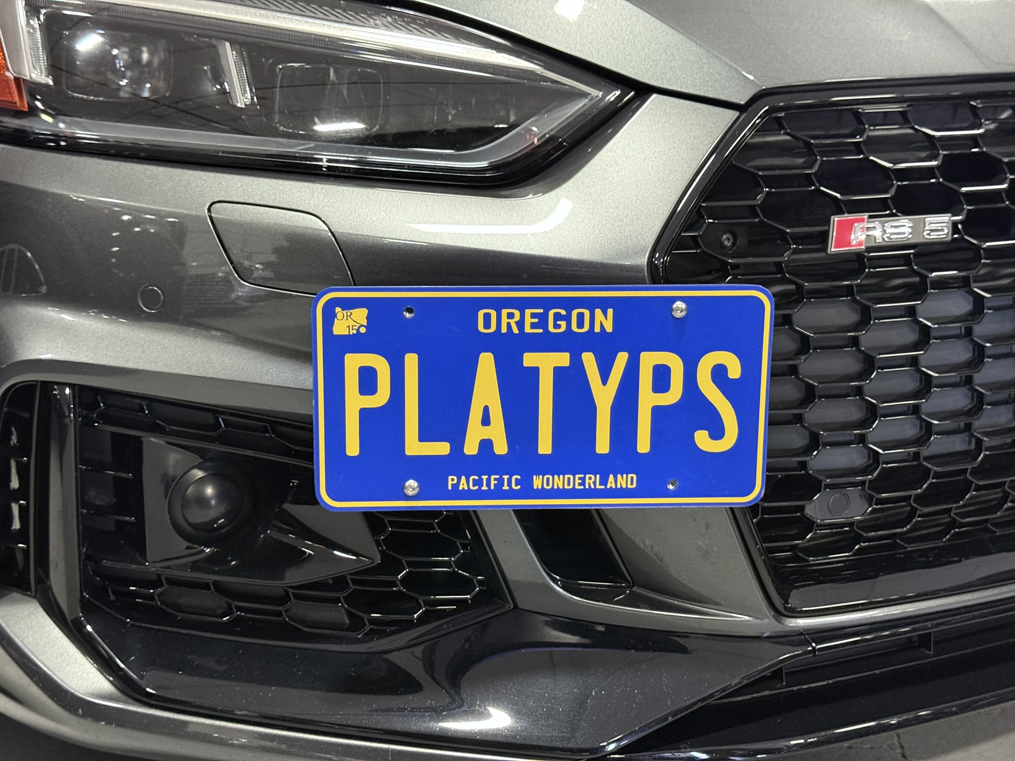 The Platypus License Plate Mount for Audi RS 5 B9 - 8W 2018 to 2025 2018 &amp; 2019 (Pre-facelift)