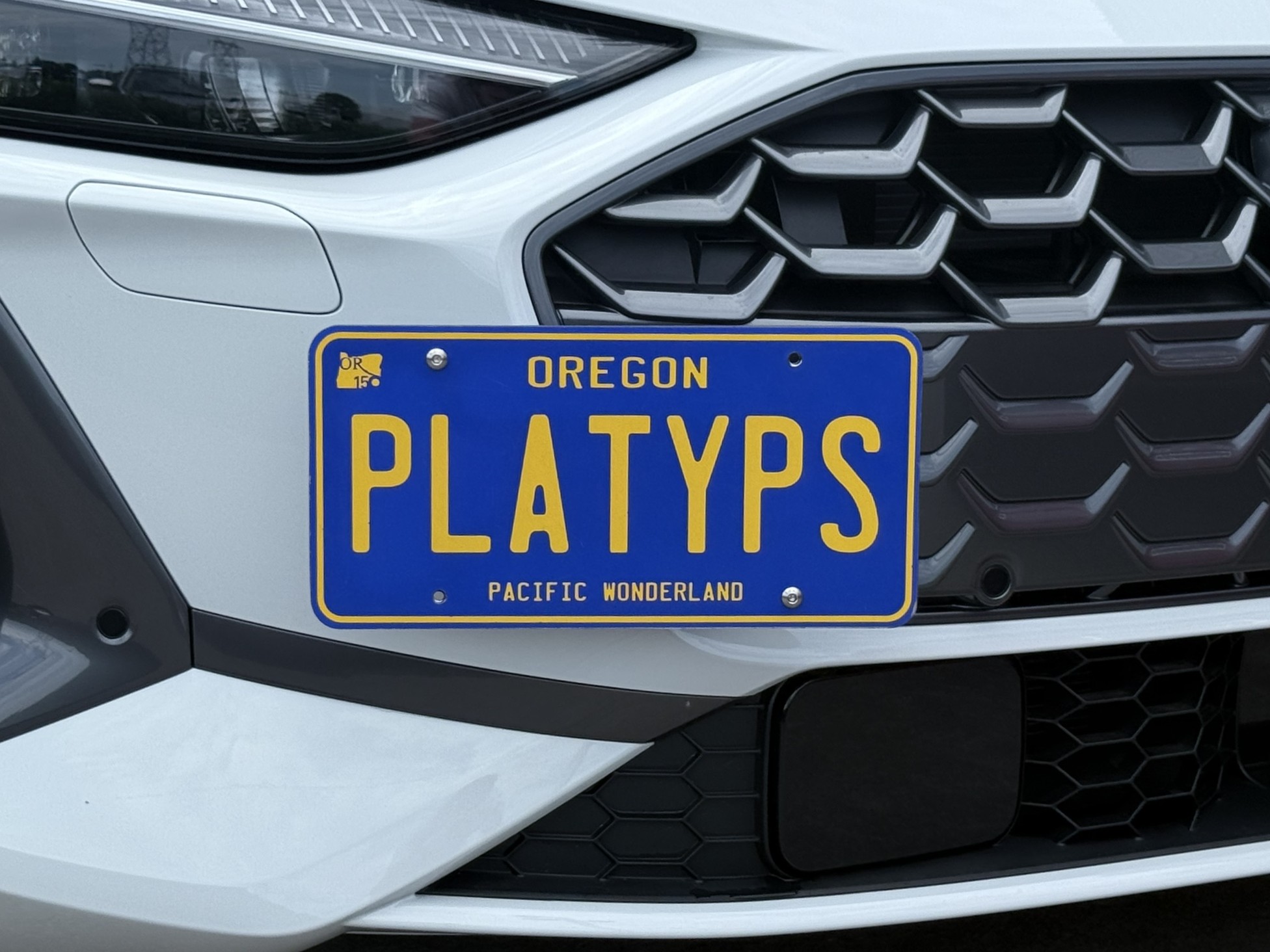 The Platypus License Plate Mount for Audi A5 All-new 3rd gen 2025 to 2026
