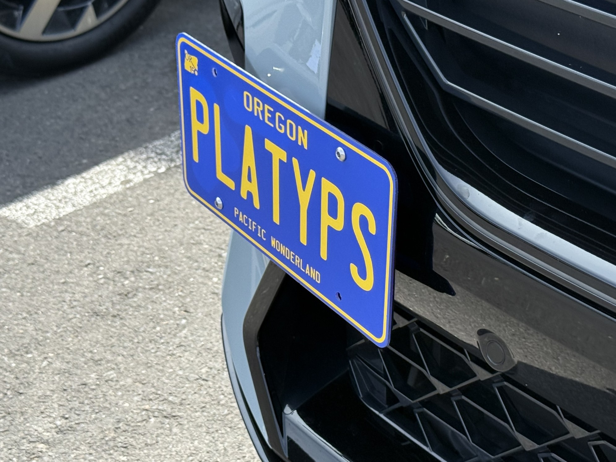 The Platypus License Plate Mount for BMW X2 2nd gen U10 2024 to 2026