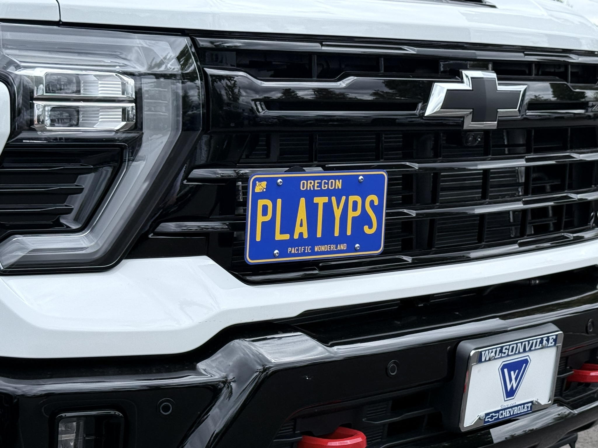 The Platypus License Plate Mount installed on a 2025 Chevrolet Silverado HD LT with the Z71 Off-Road Package