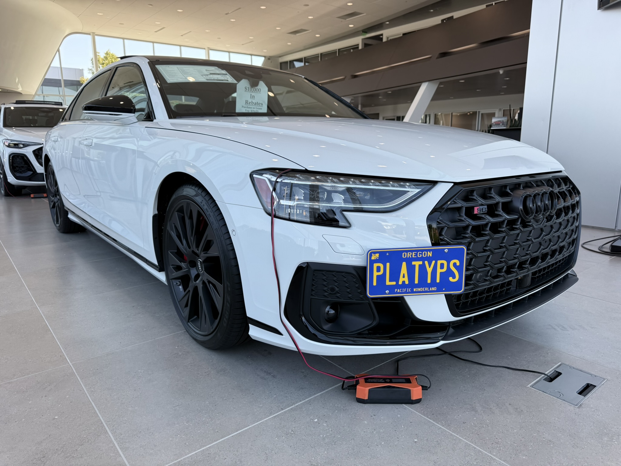 https://cdn11.bigcommerce.com/s-351ed/images/stencil/{:size}/products/30318/286924/the_platypus_license_plate_mount_for_audi_s8_d5_2020_to_2025_facelift_2022-2025_S5TUCZ6_30318__89020.1756143325.jpg?c=2