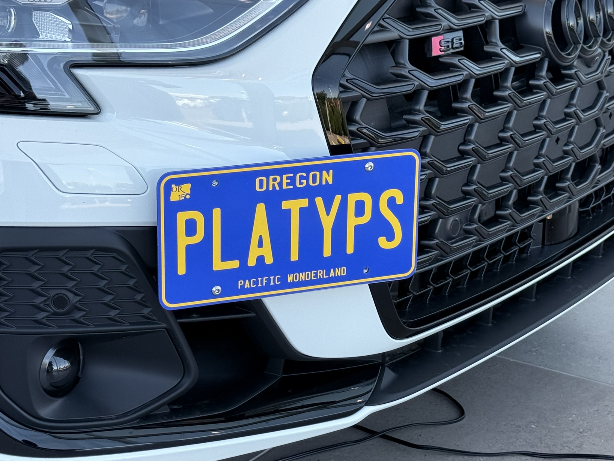 The Platypus License Plate Mount for Audi S8 D5 2020 to 2025 Facelift (2022-2025)