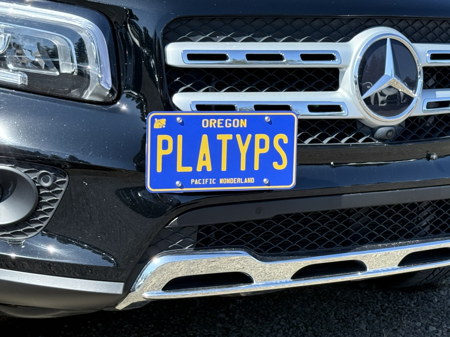 The Platypus License Plate Mount for Mercedes-Benz GLB-Class X247 2020 to 2025 2020-2023 (Pre-facelift) Standard