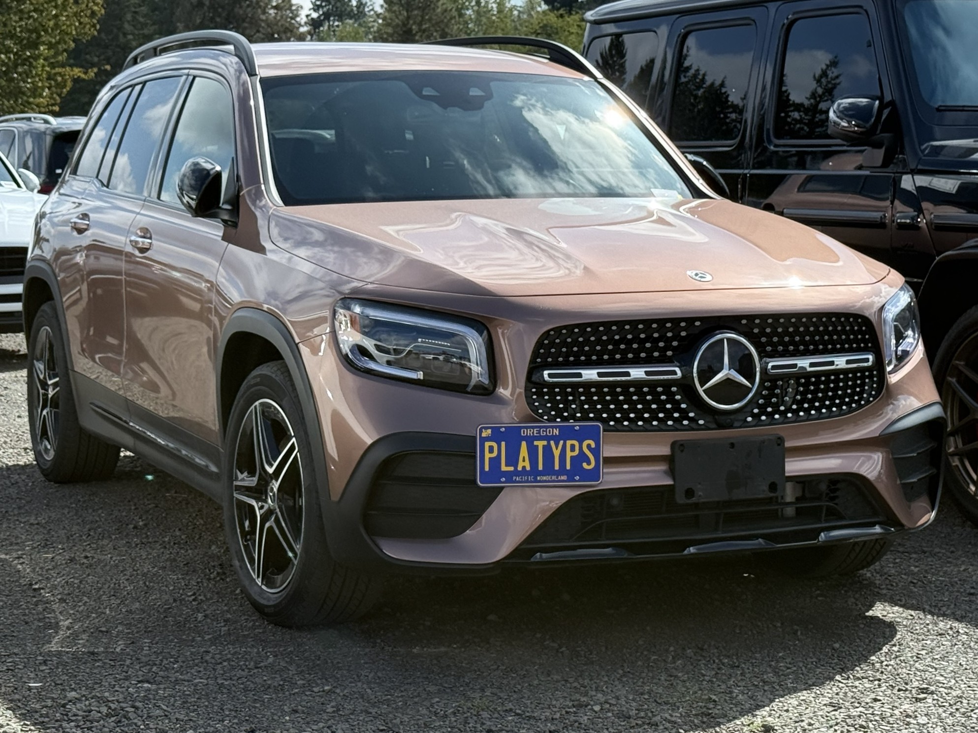 https://cdn11.bigcommerce.com/s-351ed/images/stencil/{:size}/products/30358/288594/the_platypus_license_plate_mount_for_mercedes-benz_glb-class_x247_2020_to_2025_2020-2023_pre-facelift_amg-line_styling_package_LMKNFNP_30358__86952.1758034924.jpg?c=2